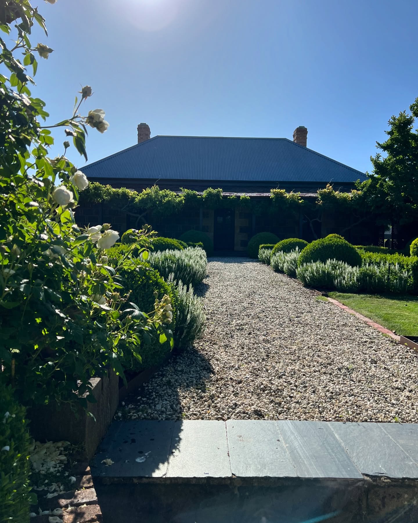 Late Spring: the parterre garden is coming to life with Salvia schneehugel beginning to flower and the entry arbor, planted with @david_austin_roses Clare Austin (swipe left),looking pretty spectacular!
Book our three bedroom heritage house and get the garden for free!
The OldRectory is fully air conditioned, beautifully furnished with antiques and all our bedrooms have en suite bathrooms.
@visitmacedonranges
@piperstkyneton
@daylesfordmacedonranges
#kyneton
#australiancolonialarchitecture
#kynetonaccommodation
#kynetonweddingaccommodation
#oldrectory
#oldrectorygarden
#behindthehedge
#parterregarden
#buxussempervirens
#wisteria
#spring
The Old Rectory is listed by @nationaltrustvic
Booking email our website or @airbnb