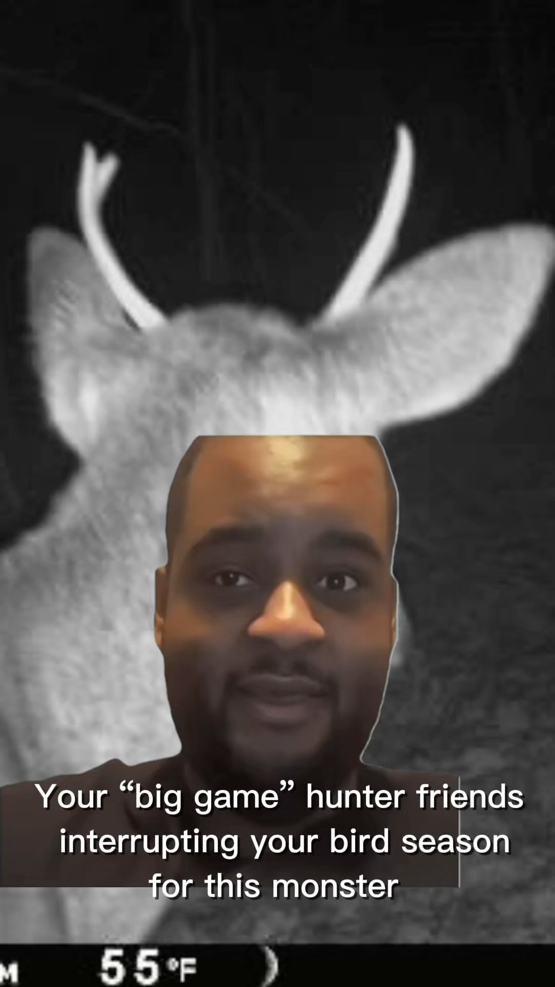 💀💀💀
#boysoffall #birdhunter #upland #waterfowl #gundog #lab #gsp