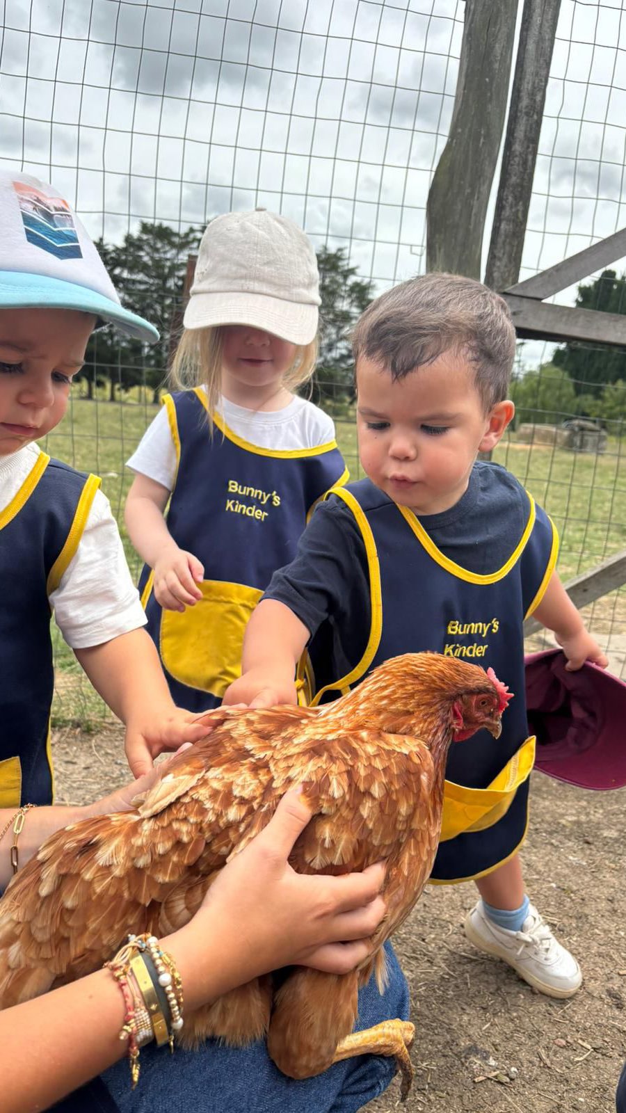A day at the farm