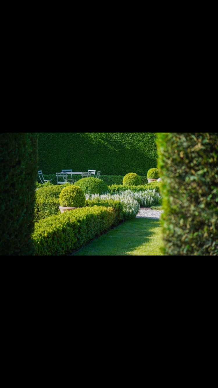 A stunning evening in the Parterre with the Buxus and the Salvia looking at their best. Can you think of a more beautiful setting for dinner?
Booking enquiries for the Old Rectory can be made via our website or @airbnb
The Old Rectory is listed by @nationaltrustvic and our garden appeared on @abctv “Dream Gardens” hosted by @michaelmccoyongardens
@fermob outdoor furniture from @classicwithatwist also available locally from @riddellscreeknursery
Our terracotta pots sourced from @kellockpotsnplanters
Our garden is maintained by Fergus and Hugh at @ruralgardensaustralia
@visitmacedonranges
@daylesfordmacedonranges
@piperstkyneton
@visitvictoria
#kyneton
#oldrectorygarden
#kynetonaccommodation
#macedonrangesweddingaccommodation
#buxus
#salvia
#cypresshedge
#topiary
#spring