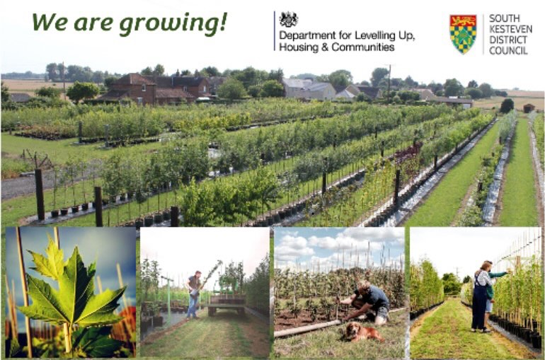 We are excited to share that Treescape Nursery is planning on continuing its expansion of the site. Construction of a new propagation and growing house will enable better self-sufficiency of tree stocks and increased production of our evergreen ornamental range. Working in conjunction with #UKSPF through the UK Shared Prosperity Fund and #southkestevendistrictcouncil, we look forward to continuing growing π³ π²