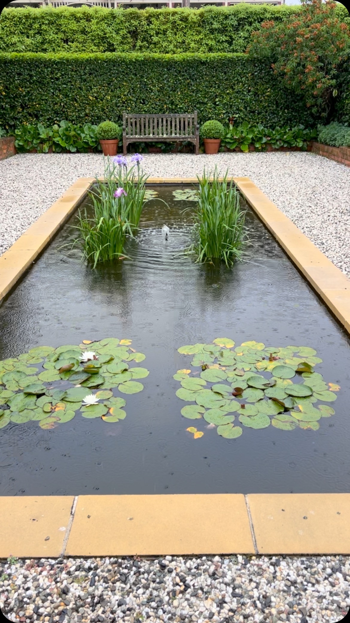 After almost a week of hot weather some desperately needed rain!
Booking enquiries via our website or @airbnb
Terracotta pots from @kellockpotsnplanters
@piperstkyneton
@daylesfordmacedonranges
@visitmacedonranges
@nationaltrustvic
@businesskyneton
#kyneton
#kynetonluxury
#macedonrangesweddingaccommodation
#heritageaccommodation
#spring
#rain
#sunkengarden
#pond
#oldrectory
#oldrectorygarden
#gardenforhire