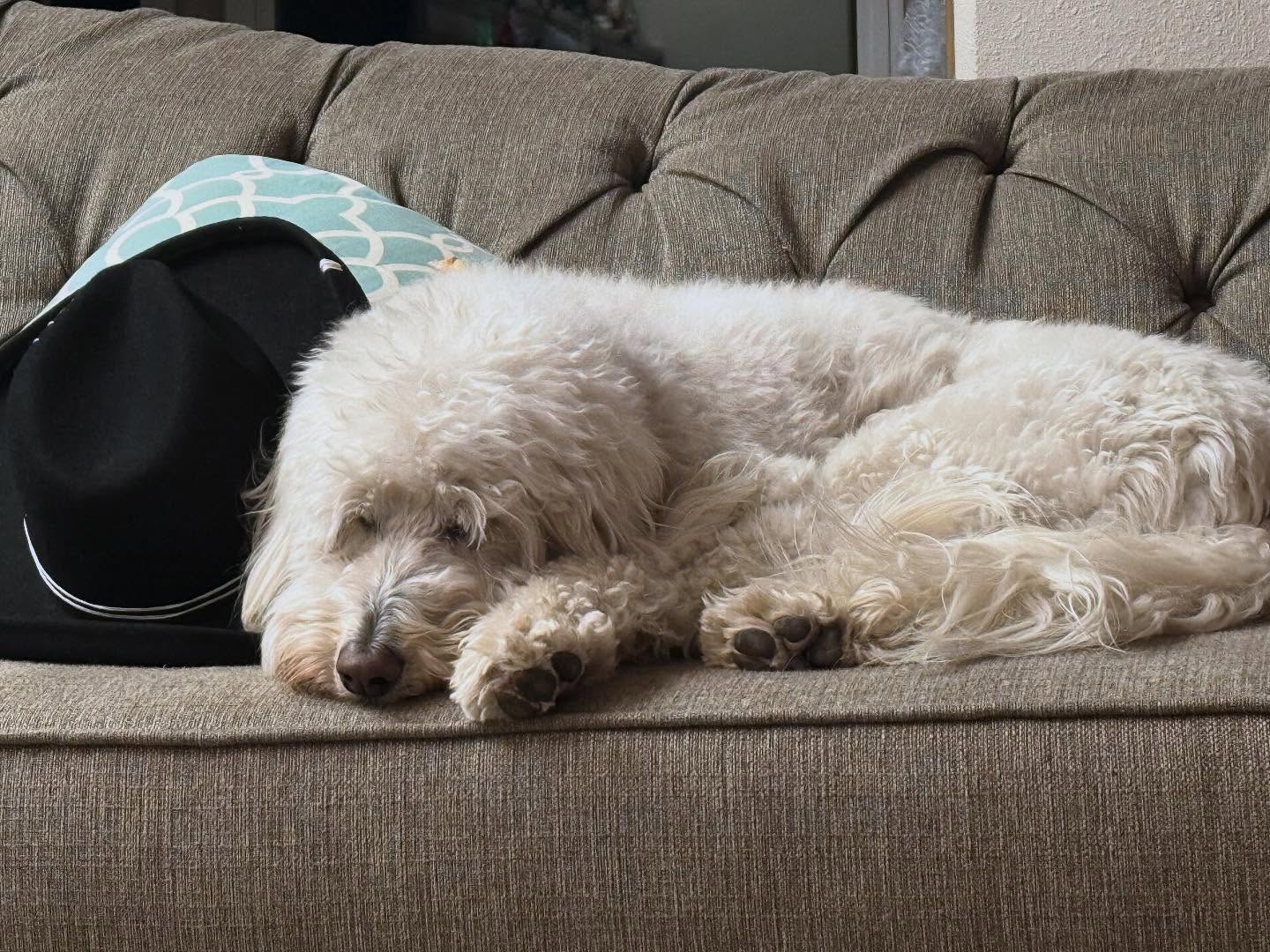 We wrote the book and now we rest. 🤠#nanowrimo2024