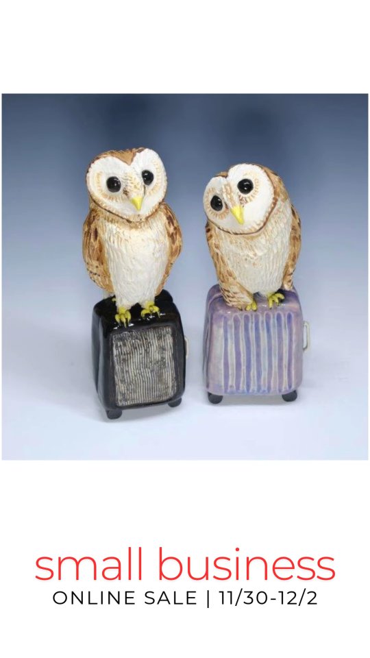 Small Business Sale has begun!
25% off coupon when join newsletter
40% off all collage art originals
free shipping of orders $80+
free air plants with holder purchase
Sale ends Monday, 12/2/2024
#sbs #buyart #ceramicart #birdbaggage #airplant #woodpecker #owl #artcraft #sculpture