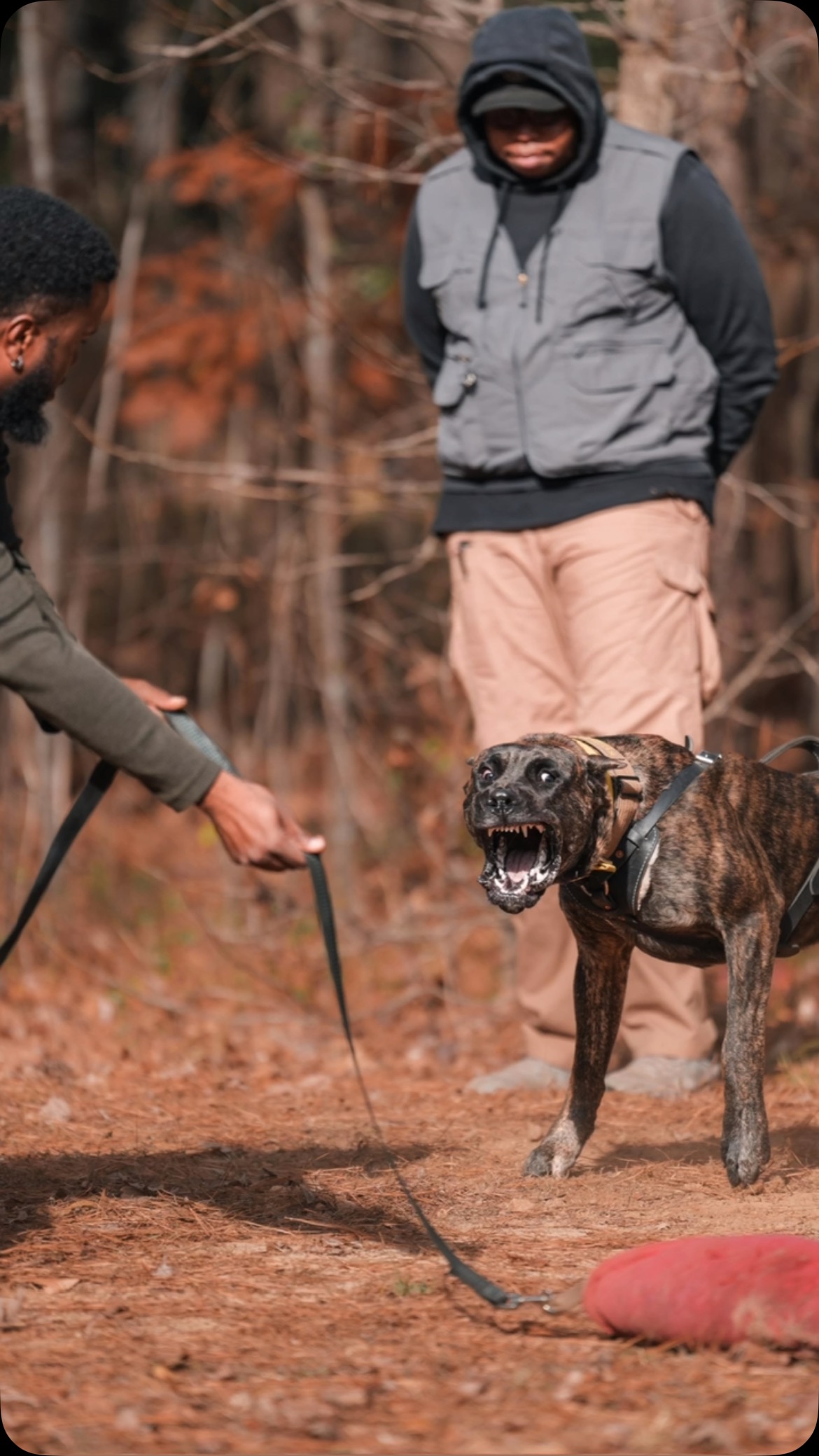 Me and my guy are working and having fun putting in work!
Klutch Ur Pearls De La Fundacion K9 RN
📸: @benberenfield
Decoy: @kontrolled_k9
Breeder: @lafundacionk9
@outcastwdc