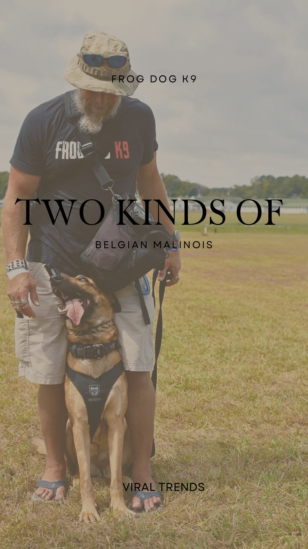 Every dog has their strengths and every handler has their needs.
Here at Frogdog, we aim to make the perfect match.
Photo & Video By: @kb_content_
#belganmalanois #malanois #trendingaudio #dogtrainer #dogtraining #supportthetroops #k9 #veternanowned # veteran #serviceanimal #suicideawareness #nonprofit #charity #servicedog #usa #patriot #757 #Chesapeake #virginiabusiness #virginiaevents #suicideprevention #therapydog