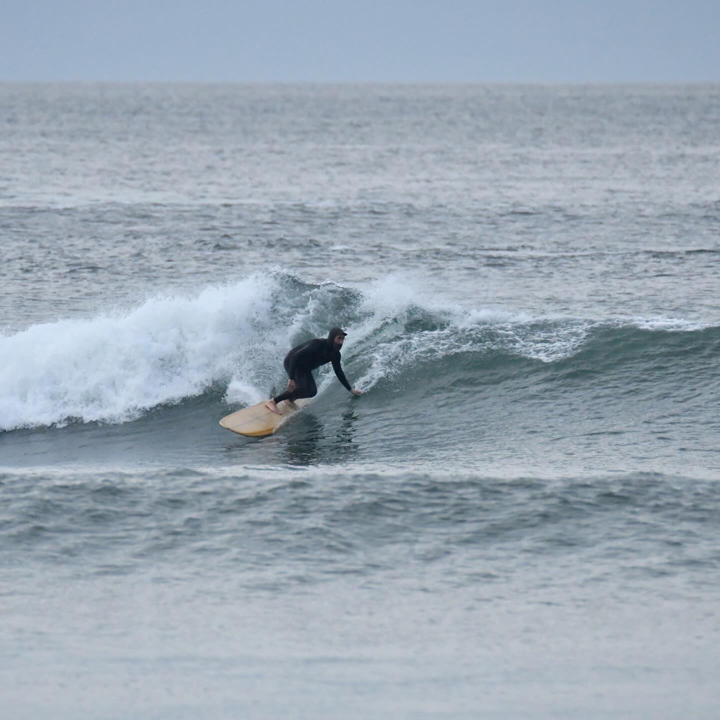 High and low Wednesday! Crewman @vasco290678 applying pressure low and high with the @campbellbros 8’11B3 scoutglider at Leça a few moons ago Thanks @joseph_garage_photography for the photos!
#surfboard #bonzer #bonzer3 #campbellbrothers #msdsurfboards #surfclub #surfboardclub #glidersurfboards #midlengthsurfboard #surfboardfins #surffins #bamboofins #101fins #surfphotography #surfphotography #surfeurope #surfportugal #surfporto #surfleça