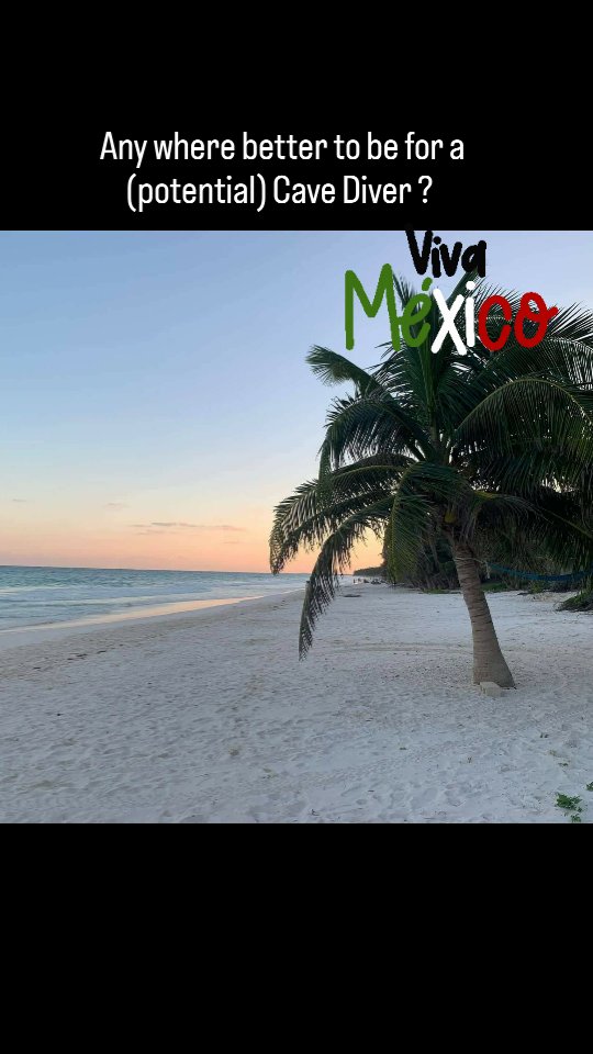 Already a Cave Diver or thinking of becoming one, there is no better place than Tulum Mexico..
#sidemountdiving #cavediving #tulumdiving #tdisdi #cavetraining #minediving #ukdiving #ukmc #bare