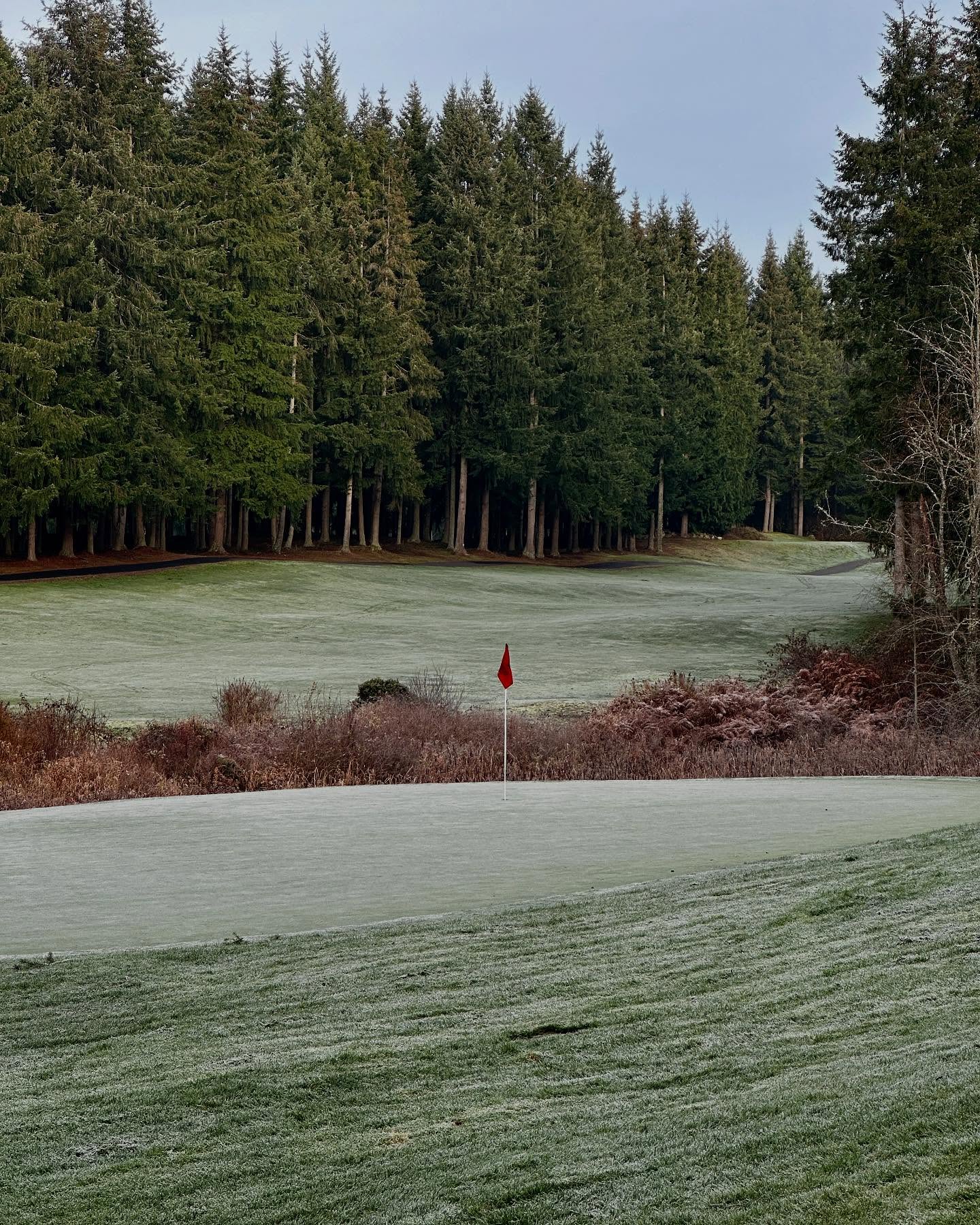 No frost delays.. ever. Come and play!