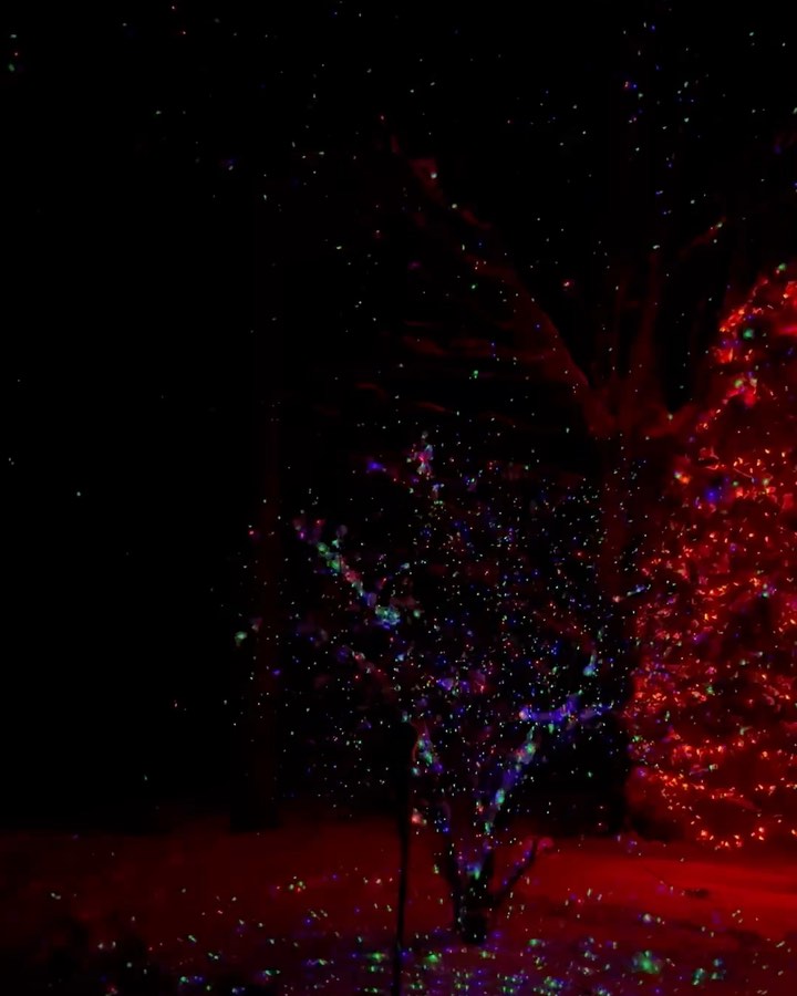 It’s beginning to look a lot like Christmas