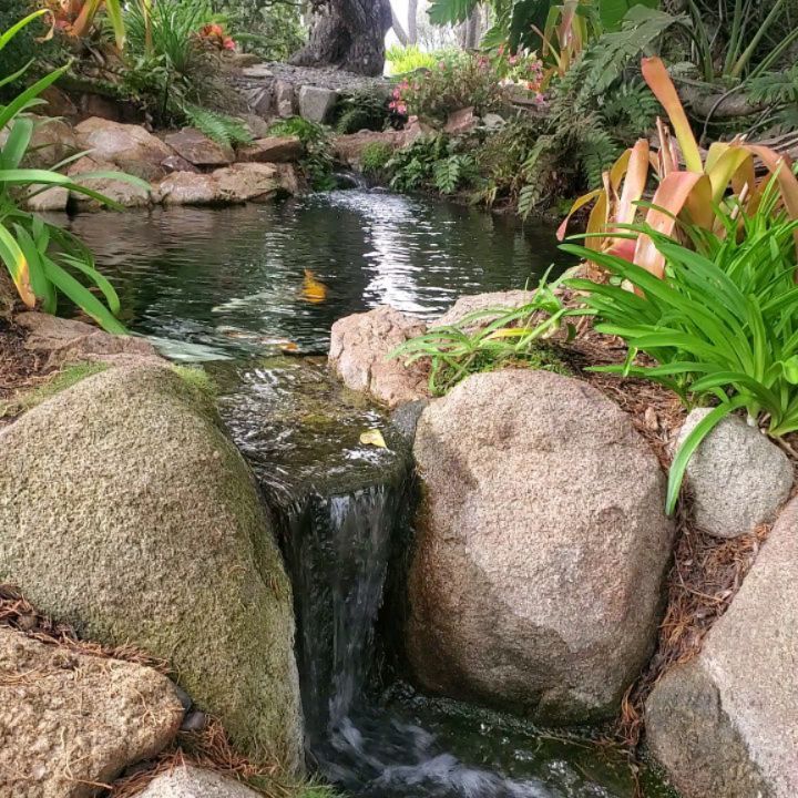 It felt so good to get back to my favorite spot a year and a half later. 🤗
Reflecting on our journey here
Meditating for peace and clarity
Asking for support and energetic alignment
Bringing in fresh & grounded energy
So grateful for this land, these gardens and where we live
#meditationgardens #encinitas #sandiego #timeinnature #natureheals #meditationpractice #selfrealization