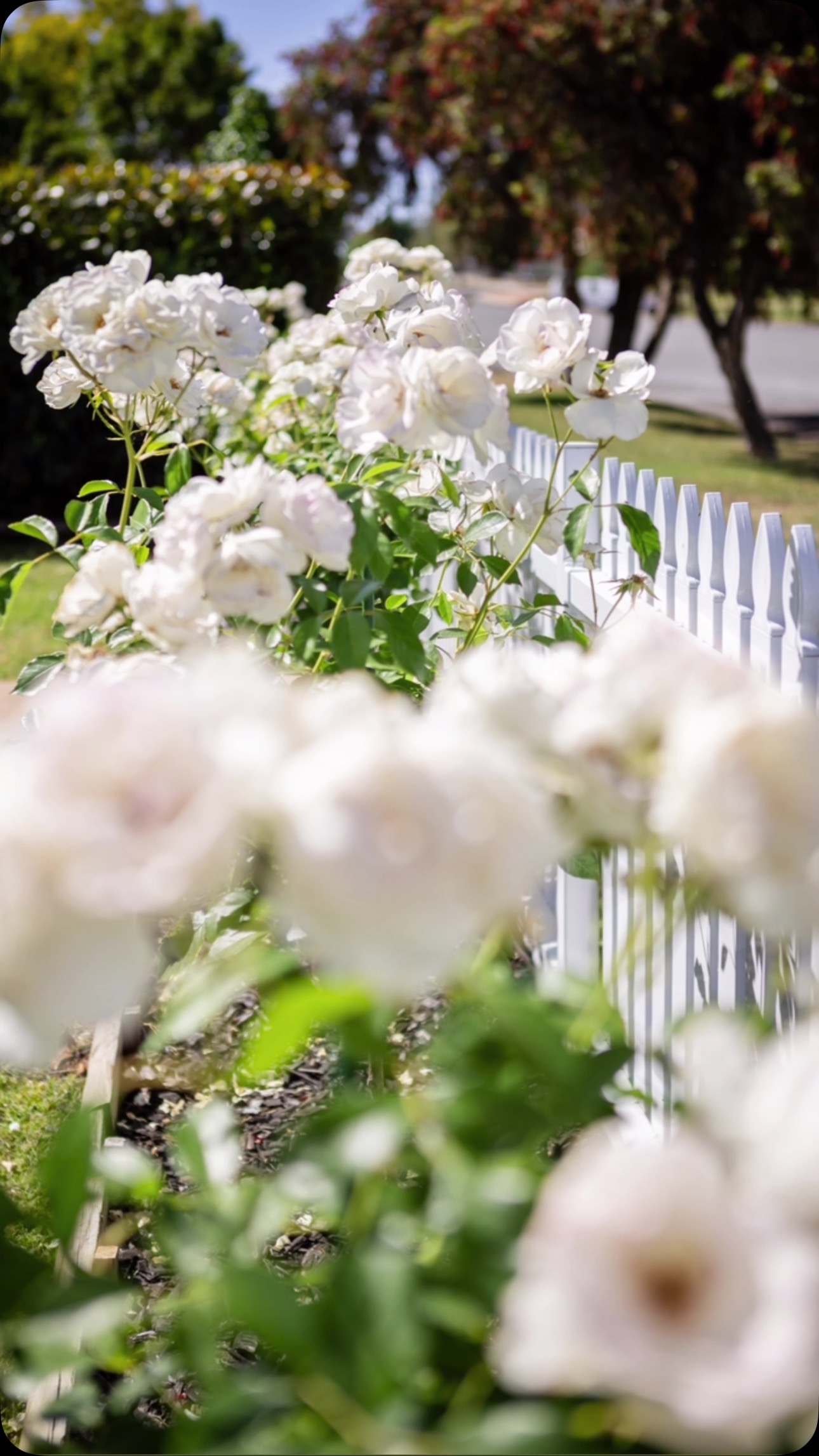 This could be your next favourite spot to unwind ๐๐ Relax and recharge in our charming cottage, complete with all the modern comforts you need for the perfect getaway www.theqcottage.com.au
A huge thank you to #annecooperphotography for these gorgeous shots ๐๐
