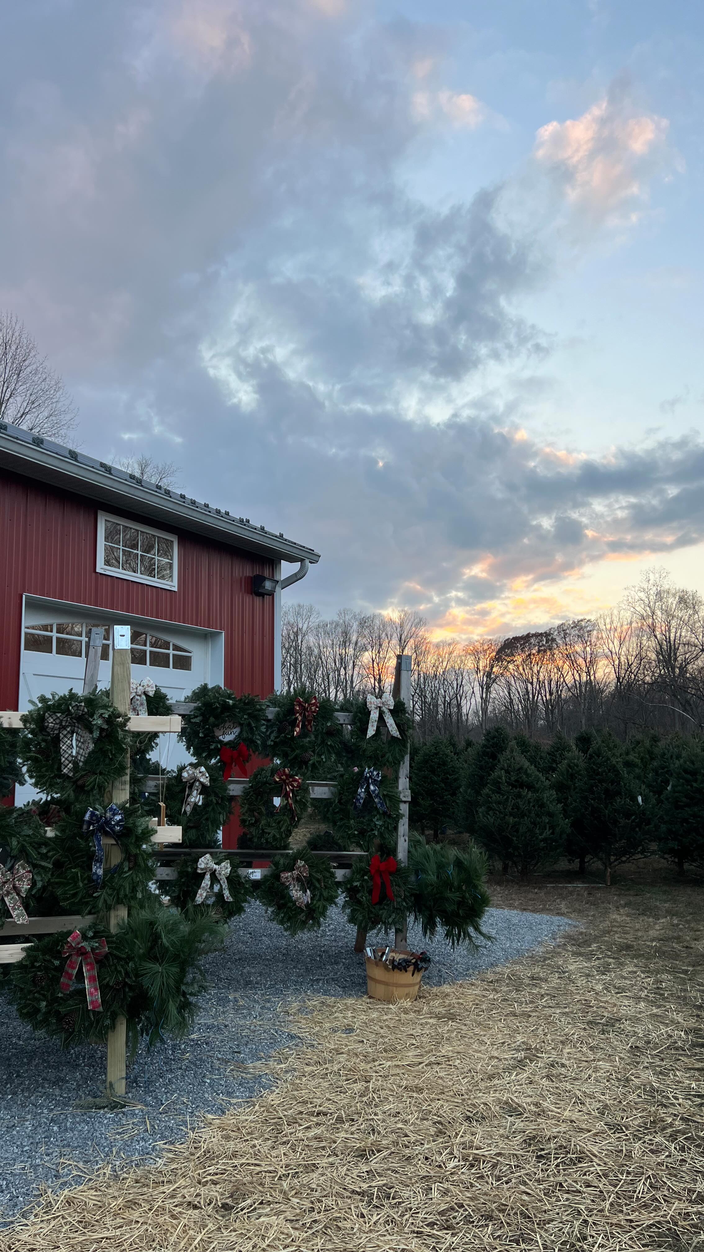 We close at 5 pm today! If you can’t make it today, we will re-open at 9 am on Friday! 🌲We have amazing 6.5’ - 10’ Fraser and Balsam Firs left! We also have wreaths, farm sweatshirts, and lots of garland ✨ Our Cocoa Cabin is serving up specialty hot chocolate, coffee, cider and kettle corn!