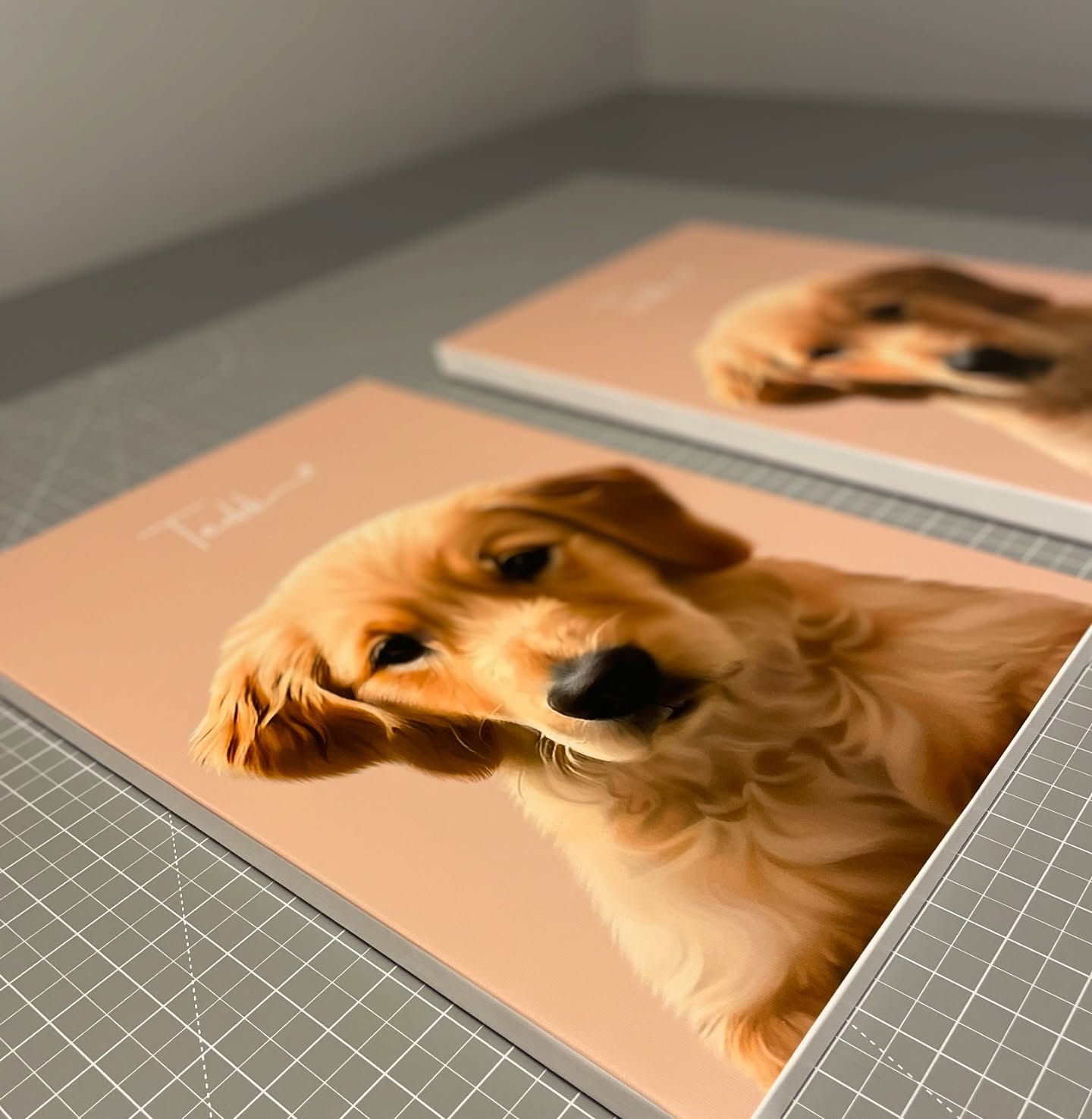 Teddi 🤍
>3/4” depth
>white edge
>matte finish
>Size 12x16
#natsprintingco #okotokssmallbusiness #canvasprints #canonimageprografpro