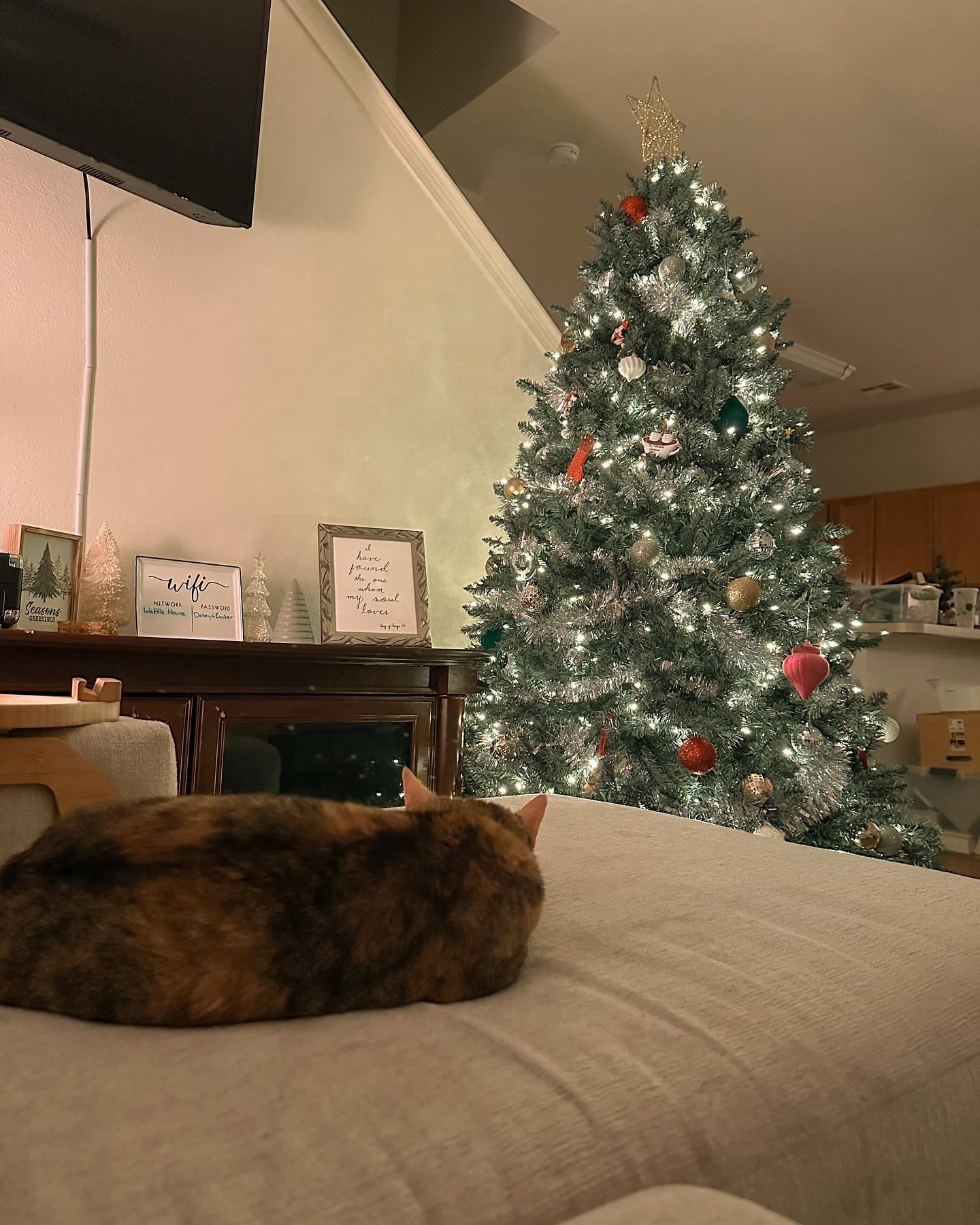 Our new house is starting to feel like home ๐ฅฐ
(Also yes, I did in fact put up and decorate my @kingofchristmas Christmas tree before putting away the rest of the house and I feel no shame)
#Christmas #ChristmasTree #KingOfChristmas #KOC