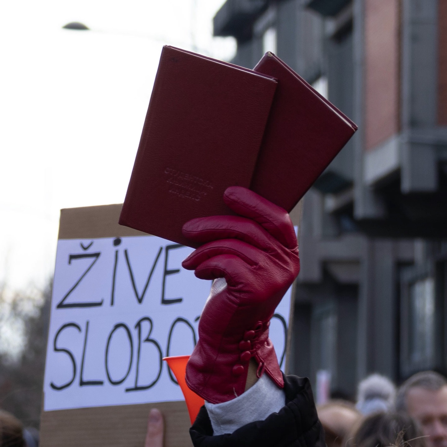 Protesti podrške studentima u blokadi - 15.12.2024
Na proteste se infiltrirao i bednik koji je hapsio studente i pokušao da provocira. Po nezvaničnim informacijama u pitanju pripadnik BIA-e koji je nelegitimisan hapsio studenta Akademije umetnosti, Relju Stanojevića, za čije je oslobađanje bilo neophodno protestovati skoro tri nedlje. Provakator je uspešnom reakcijom protestanata udaljen uz nešto crvene boje za put.
Protests for support to university students that are blockading the University - 15.12.2024
Amongst the protesters there was an infiltrated scoundrel who tried to provoke. Accord8ng to unnoficial soueces it seems it was the very BIA agent (serbian security service) that earlier arrested student of Academy of arts, Relja Stanojević, without id-ing himself in the process. It took almost three weeks of protests to release Relja.
The provocateur was successfully removed by a swift action of the protestors, with some red paint for the road.
#protest #zeleznicka #krvavevamruke #krvaveruke #streetphotography #protests #blokade #studentskablokada #studenti #blokada
