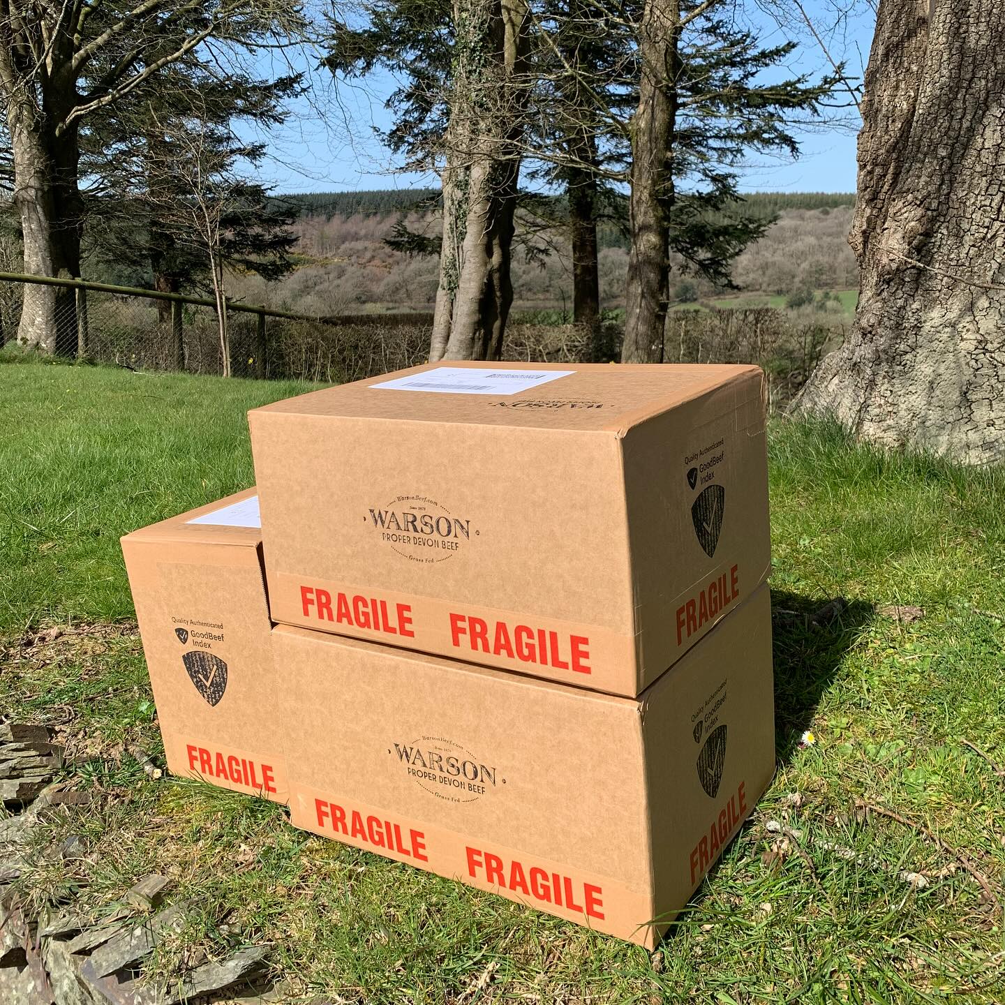 Order before 10am tomorrow and your beef box order will be shipping fresh/chilled on Tuesday 17th December (next day delivery).
Orders after this date will be shipped frozen.
Head to link in bio
#beefbox #beefboxes #beefdirect #nofarmersnofood #supportyourfarmer #angusbeef #pedigreeangusbeef #grassfedbeef #pasturefedbeef #westcountrybeef #devonbeef #dartmoorbeef #blackangusbeef #britishbeef