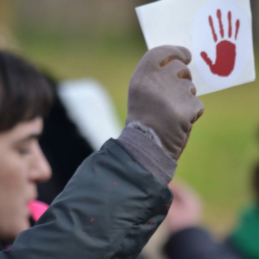 Protesti izbliza - Protests upclose
#novisad #protesti #protests #zeleznicka #streetphotography #krvavevamruke