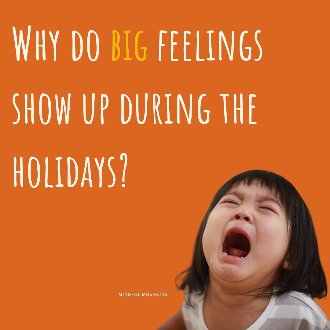 Okay, strap in parents.
We know they are coming.
We know they will be extra expressive.
But what exactly can we do about this?
And more importantly, how can we help?
Navigating change with little humans can feel exhausting but being proactive is absolutely key.
đ Routines will change, but give them time and space to understand whatâs happening before. A great way to do this is giving them a full daily overview before youâve even stepped out the house. Continue to give them reminders throughout the day of whatâs coming next, it provides comfort and predictability in unfamiliar environments.
đ Find moments of calm. Wheather is this is area to delicate as a safe space in new settings or just popping outside for 15 minutes - be intentional. Children will need to regulate, check in and connection with you throughout the day, just 1-1. You could even have a calming book in your back pocket to support their focus and encourage relaxation.
đ Hold those boundaries - donât worry about the extended family judging those tantrums, donât worry about the next door neighbour demanding a hug and kiss, donât worry about them not wearing the smart Christmas dinner outfit, you know your child, you know your boundaries, keep things simple and clear and ignore that noise!
If youâd like any more tips or tricks for the holidays, please donât hesitate to reach out on hello@mindfulmushkins.com â¤ď¸â¨
âWhen the world is a busy place, Mindful Mushkins offer a calming spaceâ
