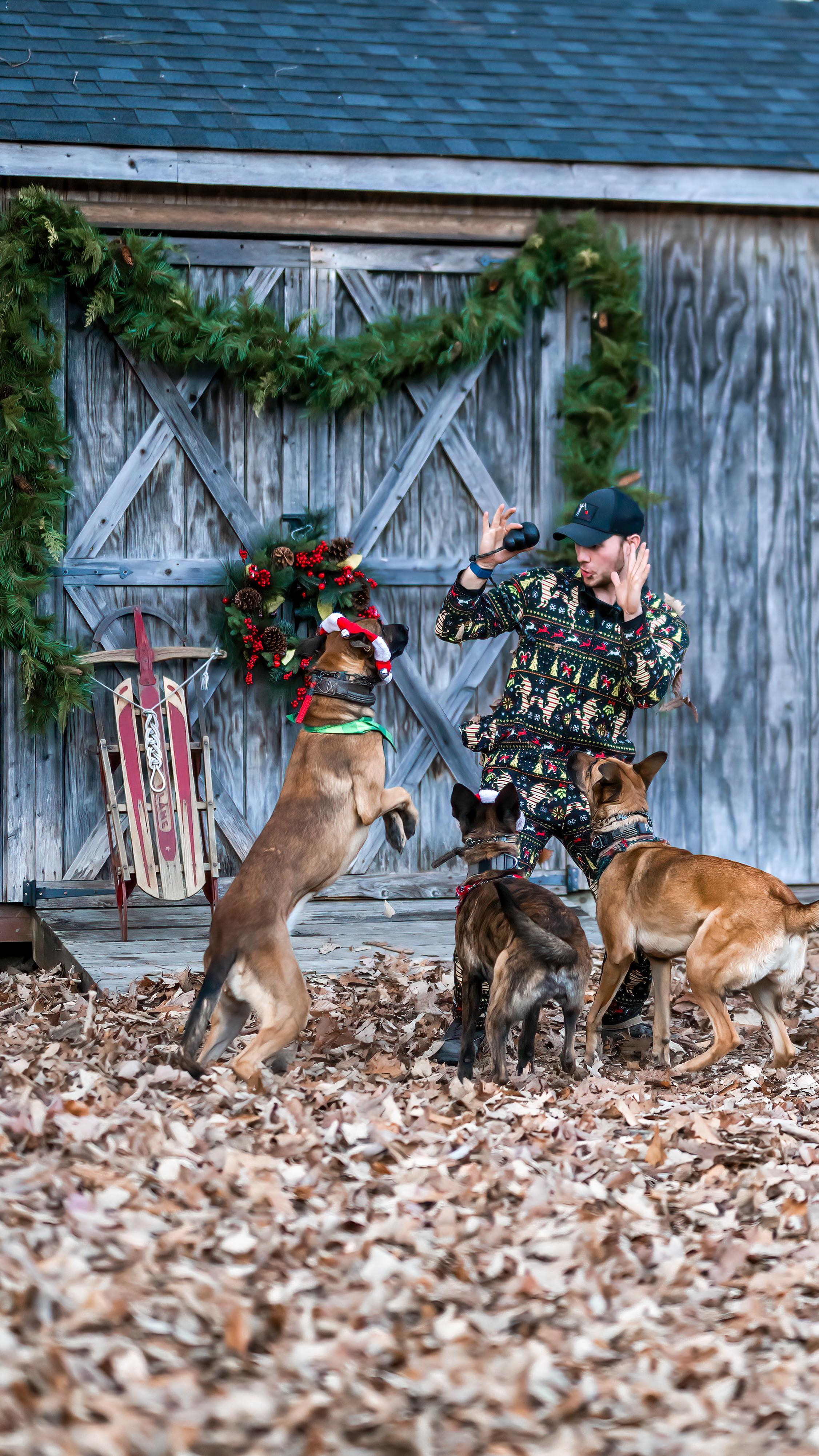 It’s a dog pile kind of holiday season!
❄️❄️❄️❄️❄️❄️❄️❄️❄️❄️❄️❄️❄️❄️❄️
We’re keeping busier than ever in hopes of launching our therapy and training center!
Photo 📸 by: @osaki022
Video 🎥 By: @kb_content_
#christmastrend #dogchristmas #dogaudio #trending #christmastransitions #dogtraining #dogtrainer #puppylove #dutchsheppard #dutchie #belgianmalinois #supportthetroops #k9 #veternanowned #veteran #serviceanimal #suicideawareness #nonprofit #charity #servicedog #usa #patriot #757 #Chesapeake #virginiabusiness #virginiaevents #suicideprevention #therapydog