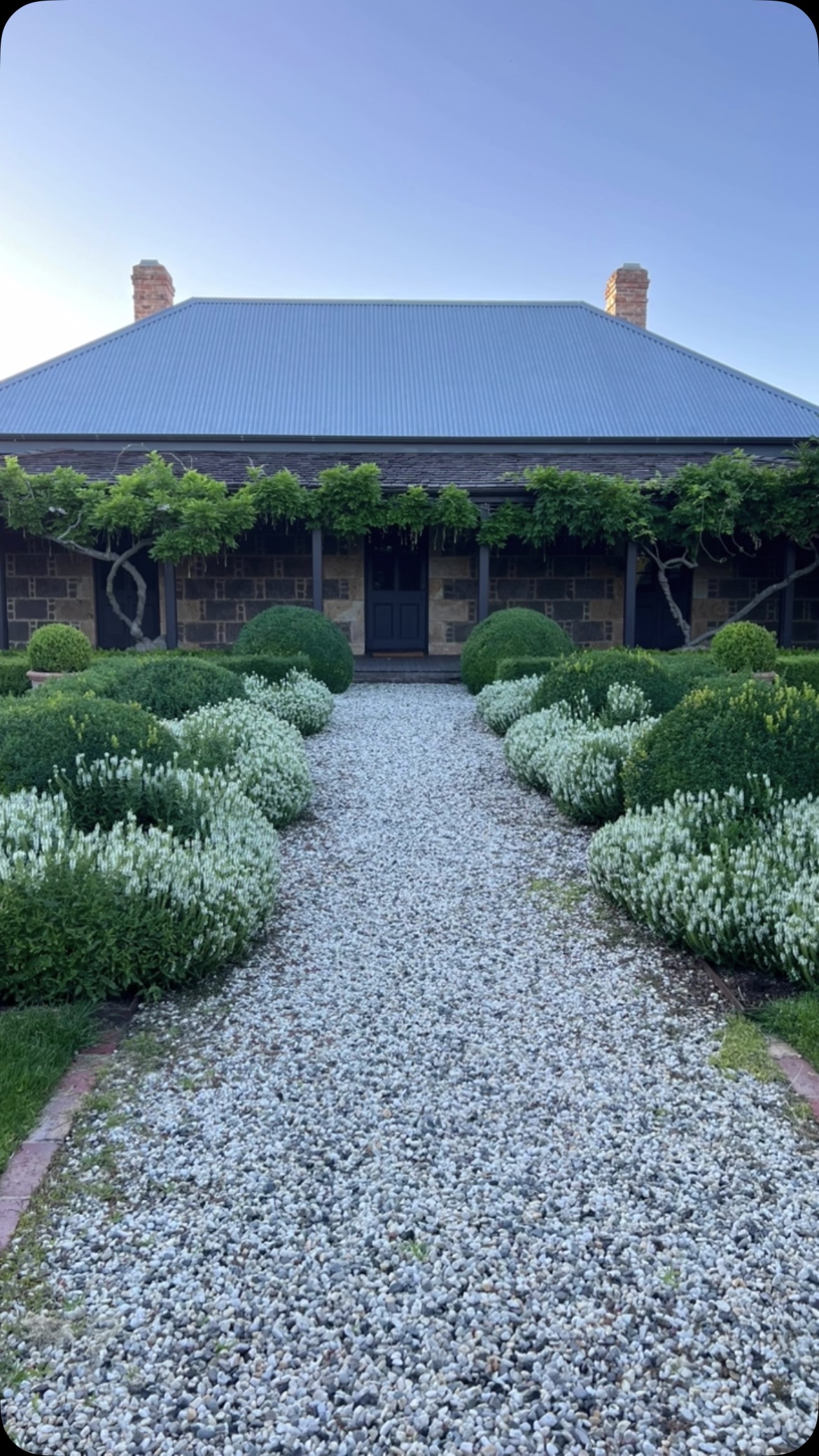 Summer and the perennials in the parterre garden are starting “to do their thing”! One of our best planting decisions was to choose Salvia schneehugel but there’s also Echinacea primadona white still to come.
The beauty of our garden often alters the plans of our guests: instead of heading out to visit a vineyard or a nearby village, an urge to stay put and lunch in the garden becomes a priority.
If you feel like experiencing a holiday in a unique house and garden look no further! But don’t take our word for it; read our 5 star reviews on @google
Booking enquires via @airbnb or our website.
The Old Rectory is listed by @nationaltrustvic
@visitmacedonranges
@daylesfordmacedonranges
@piperstkyneton
@businesskyneton
@visitvictoriaaustralia
#kyneton
#kynetonaccommodation
#oldrectory
#oldrectorygarden
#bluestone
#shingles
#australiancolonialarchitecture
#buxus
#topiary
#salviaschneehugel
#wisteria
#summer
