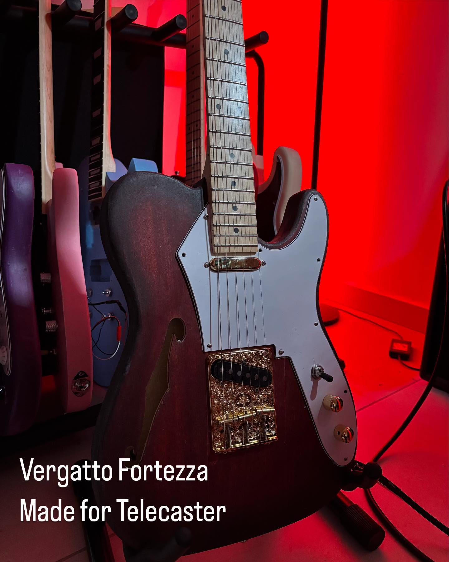 Meet the Vergatto Fortezza pickups designed for the Telecaster guitar @vergatto.instruments #custompickups #electricguitar