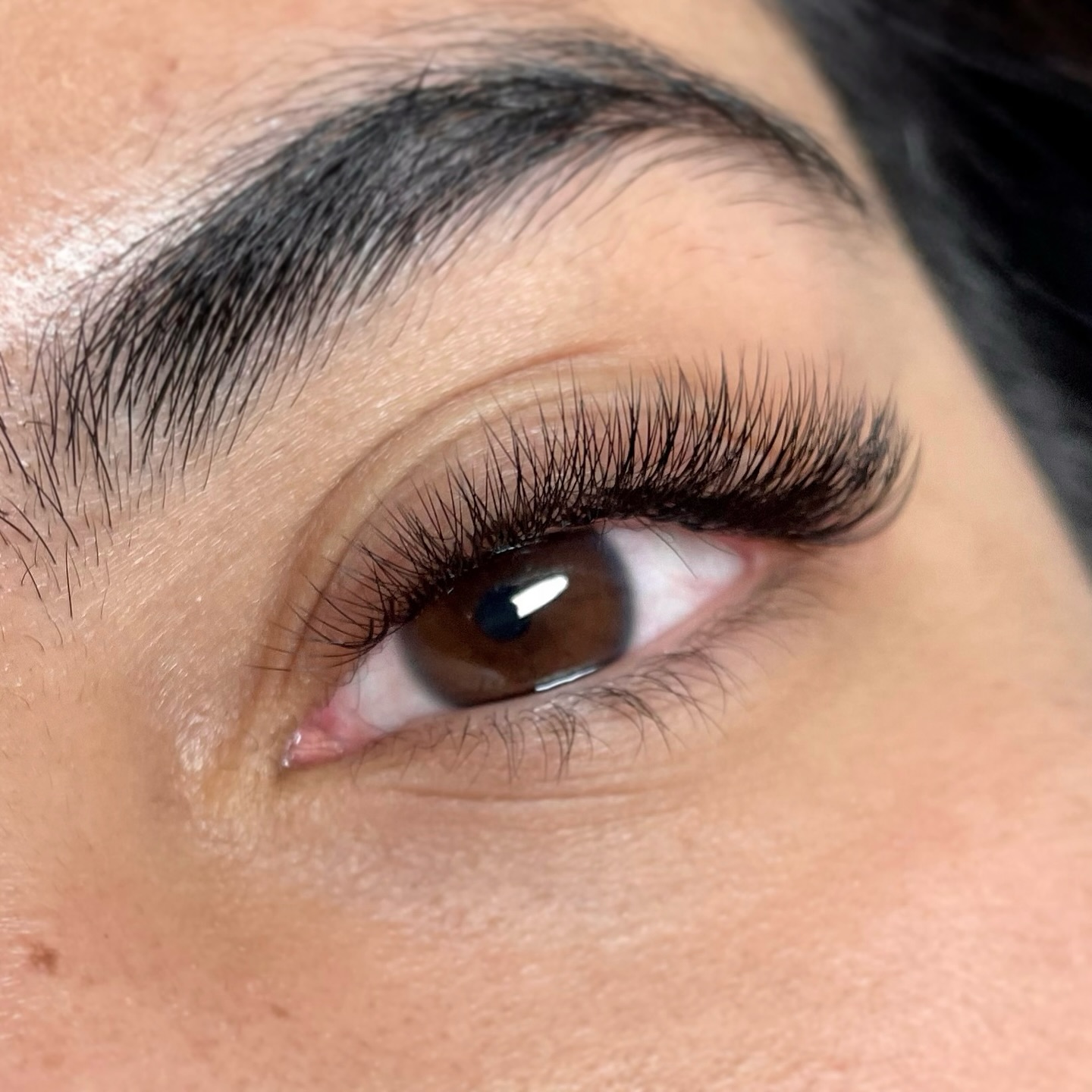 💫💫New Year, New Lashes💫💫
Step into the New Year with lashes that slay every day.
Visit:
lashnapstudio.com.au
#perthlashextensions #perthlifestyle
#perthlashstylist #perthlashtech #Perth #perthmua #perthlashlift
#lashextensions #perthbeauty #perthmakeupartist #ashaddict #perthlashes #perthmakeup #northperth #perthbrows #perthstyle #perthlife #perthisok #perthmums #mtlawley #perthmum #perthbeauty #lashlift #lash #lashboss #lashes #lashartist #lashtech