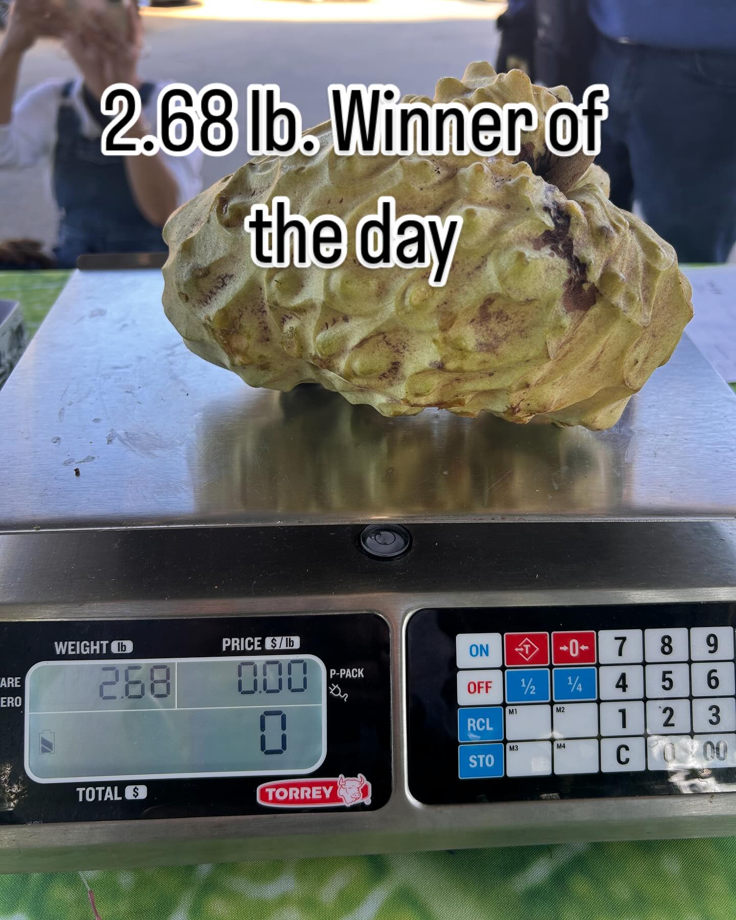 Did you see the size of that Cherimoya? Some great fruit today!