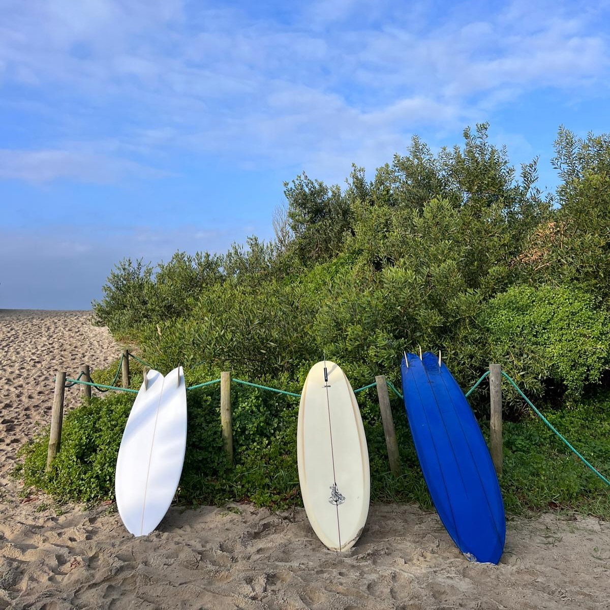 Surfsafari Saturday!
#dawnpatrol #surfsafari #surfingwithfriends #surfingwithfriendsisbetter #surfclub #surfboardclub #surfportugal #christensonsurfboards #navitimer #fishsimmons #andreinisurfboards #vaquerodelasolas #edgeboard #fishsurfboard #twinkeel #surffins #surfboardfins #bamboofins #101fins #trueamesfins #greenoughfin #powerbladefin #finjak #finjaktoolfree #finjakeu #finjakuk #surfboards