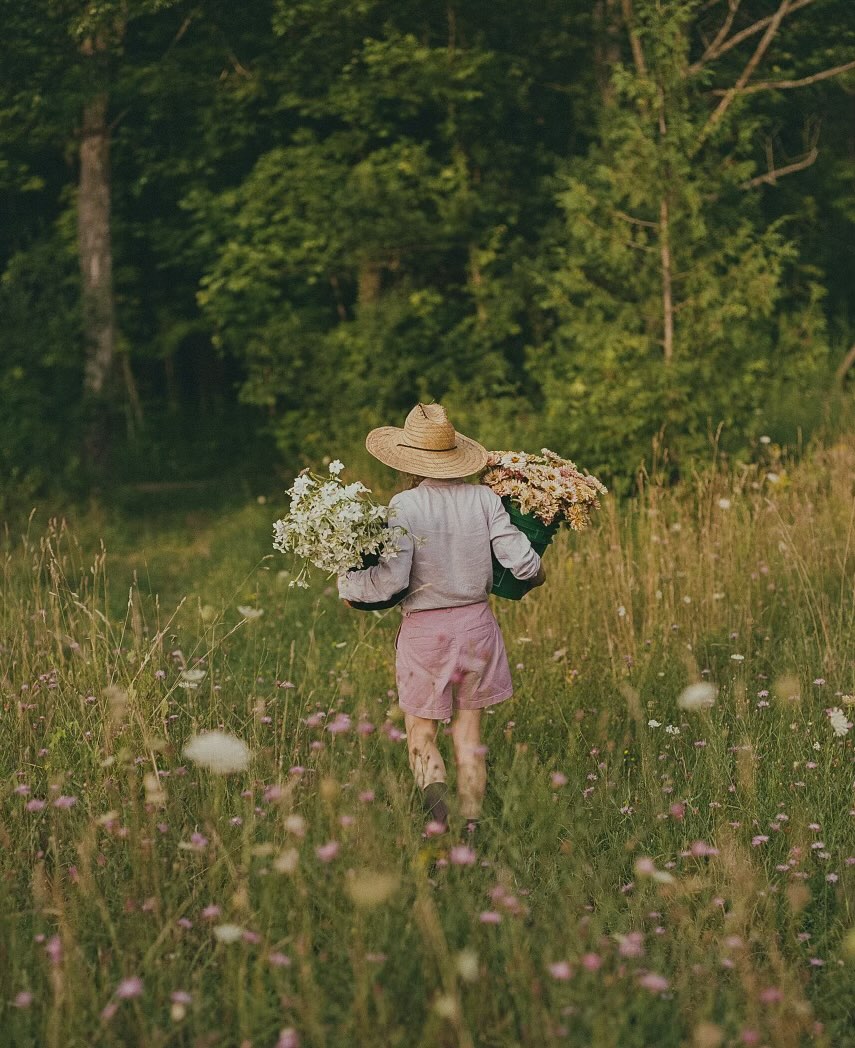 Our photos by @kelseydav were a big 2024 highlight ✨ what a gift it is to work with and in nature.