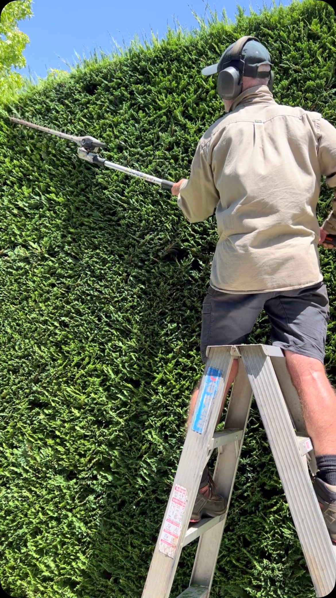 Hedge trimming never ends. Fergus from @ruralgardensaustralia clipping the driveway Cypress.
Next comes the Myrtus hedging around the north lawn. Or is it the Pittosporum along the street frontage? Or the Prunis Lusitanica in the Sunken Garden?
Booking enquires via @airbnb or our website.
Listed by @nationaltrustvic
@visitmacedonranges
@daylesfordmacedonranges
@piperstkyneton
#kyneton
#kynetonaccommodation
#hedgetrimming
#oldrectory
#oldrectorygarden
#kynetonluxury