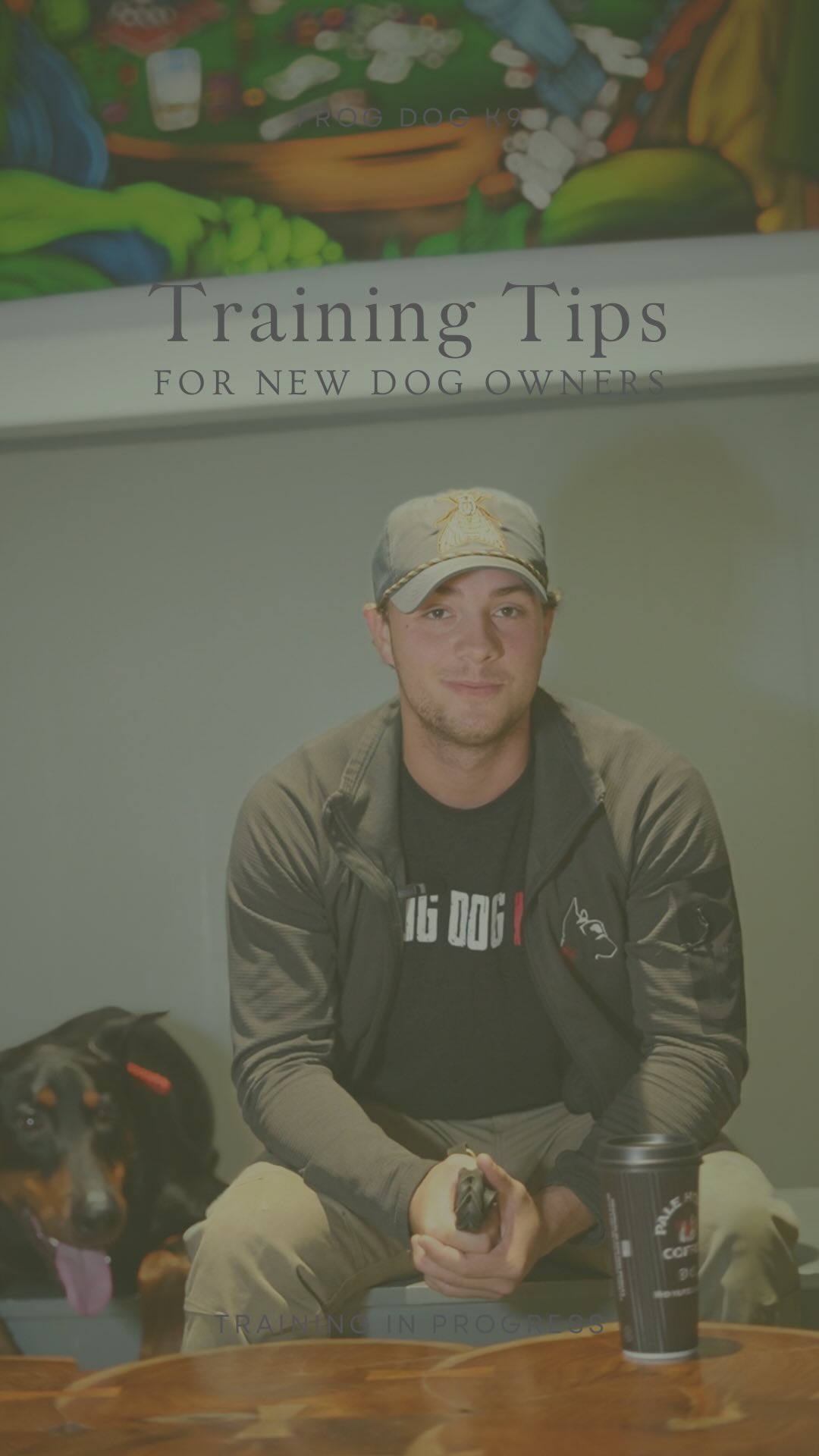 In the event that you’re starting the new year with a little puppers of your own, try out these few training tips!
Got some tricks up your sleeve? We’d love to hear about them in the comments!
Photo & Video By: @kb_content_
#dogtraining #dogtrainer #puppylove #belgianmalinois #supportthetroops #k9 #veternanowned # veteran #serviceanimal #suicideawareness #nonprofit #charity #servicedog #usa #patriot #757 #Chesapeake #virginiabusiness #virginiaevents #suicideprevention #therapydog