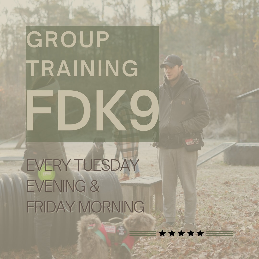 Make your New Year’s resolution having a well trained puppers!
Group training will be held at our Chesapeake compound every Tuesday and Friday!
Comment: “Group training” and we’ll send you the deets!
#dogtraining #dogtrainer #grouptraining #puppytraining #puppylove #supportthetroops #k9 #veternanowned # veteran #serviceanimal #suicideawareness #nonprofit #charity #servicedog #usa #patriot #757 #Chesapeake #virginiabusiness #virginiaevents #suicideprevention #therapydog