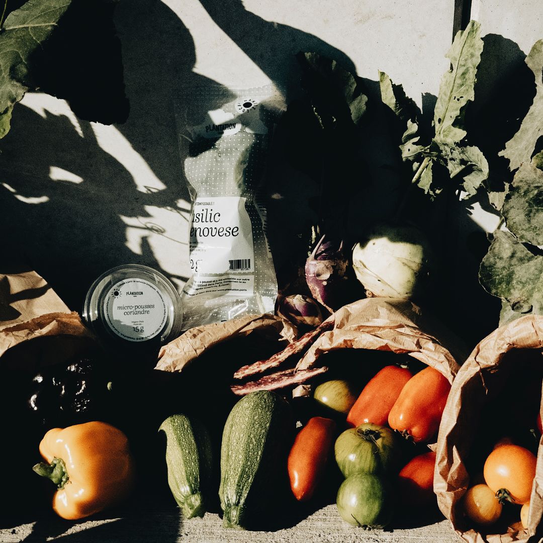 DÉTOX CHALLENGE - LA DIÈTE INNÉ
Et si vous transformiez votre vitalité en seulement 14 jours ?
La Diète Inné, ce n’est pas un régime, ce n’est pas une restriction calorique, c’est un rééquilibrage profond pour votre corps et votre esprit.
Pendant 14 jours, nous vous offrons la possibilité de faire un reset total de sucre dans votre corps, de booster votre énergie et de vous re-approprier vos ressentis profonds.
La prochaine session démarre le 27 janvier !
Lien de paiement en bio ou inscription en MP
—
Detox Challenge - Innée Diet
What if you could transform your vitality in just 14 days?
The Innée Diet is not a diet, it’s not about calorie restriction – it’s a deep reset for your body and mind.
For 14 days, we give you the opportunity to completely reset the sugar in your body, boost your energy, and reconnect with your inner sensations.
The next session starts on January 27th!
Sign up with payment link or at diete@innesociety.com.
Credit photo @camilleofjack 📍@plantationparis
#detoxchallenge #diete #diète #sugardetox #innésociety #consciousliving #alimentationconsciente