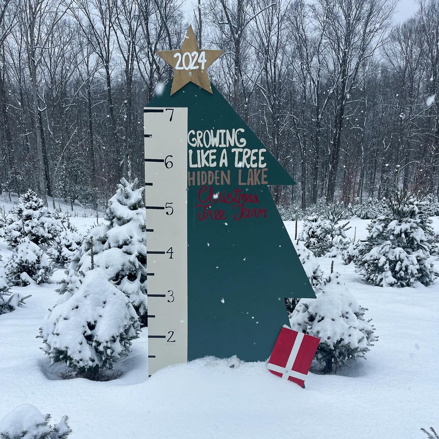 Snow days on the farm last week! ❄️
