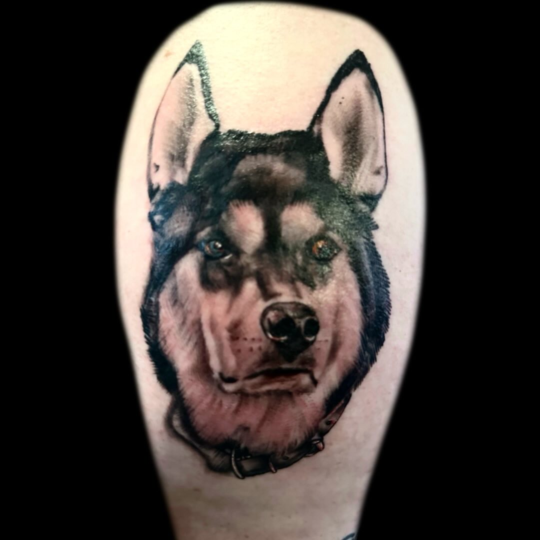 Puppy portrait done by @xavier.tattoos. On @niblet143 done with @ttoobox cartridges.