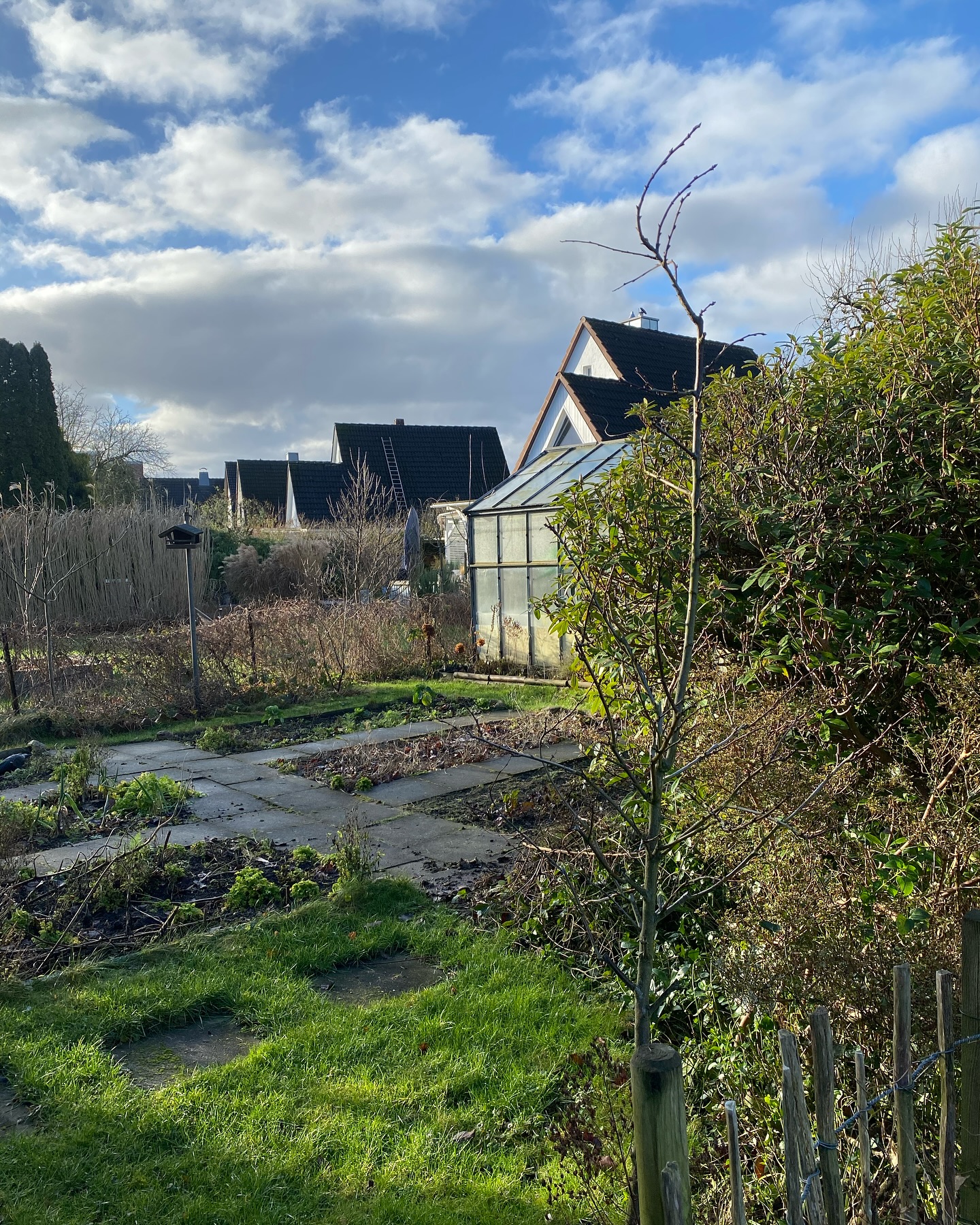 Der letzte Tag im Januar. Noch passiert bei uns nichts im Garten, aber das wird sich bald ändern. Die Natur steht in den Startlöchern und das Saatgut liegt bereit. Diese 3 Perspektiven werde ich über das Jahr immer mal wieder aufnehmen für unseren #jahresgarten2025
#naturnahergarten #mischkultur #gemüsegarten #gewächshaus #biogarten