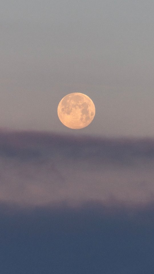 Mardi cotonneux ❄️ #mimizan #mimizanplage #ocean #moon #lune #moonset #moonlight #sunsetphotography #moonlovers #jamaissansocean #ocean #coucherdelune #sunrise #landestourisme #mimizantourisme #surfphotography #biscarosse #contis #hossegor #vieuxboucau #photographelandes #photographemimizan #landes #leslandes #nikon #manonduport