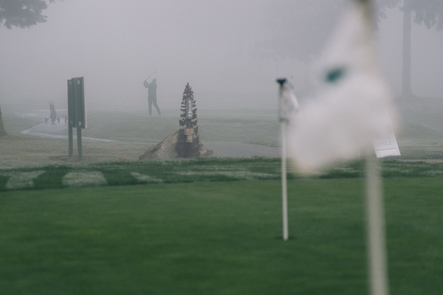 INTO THE FOG.