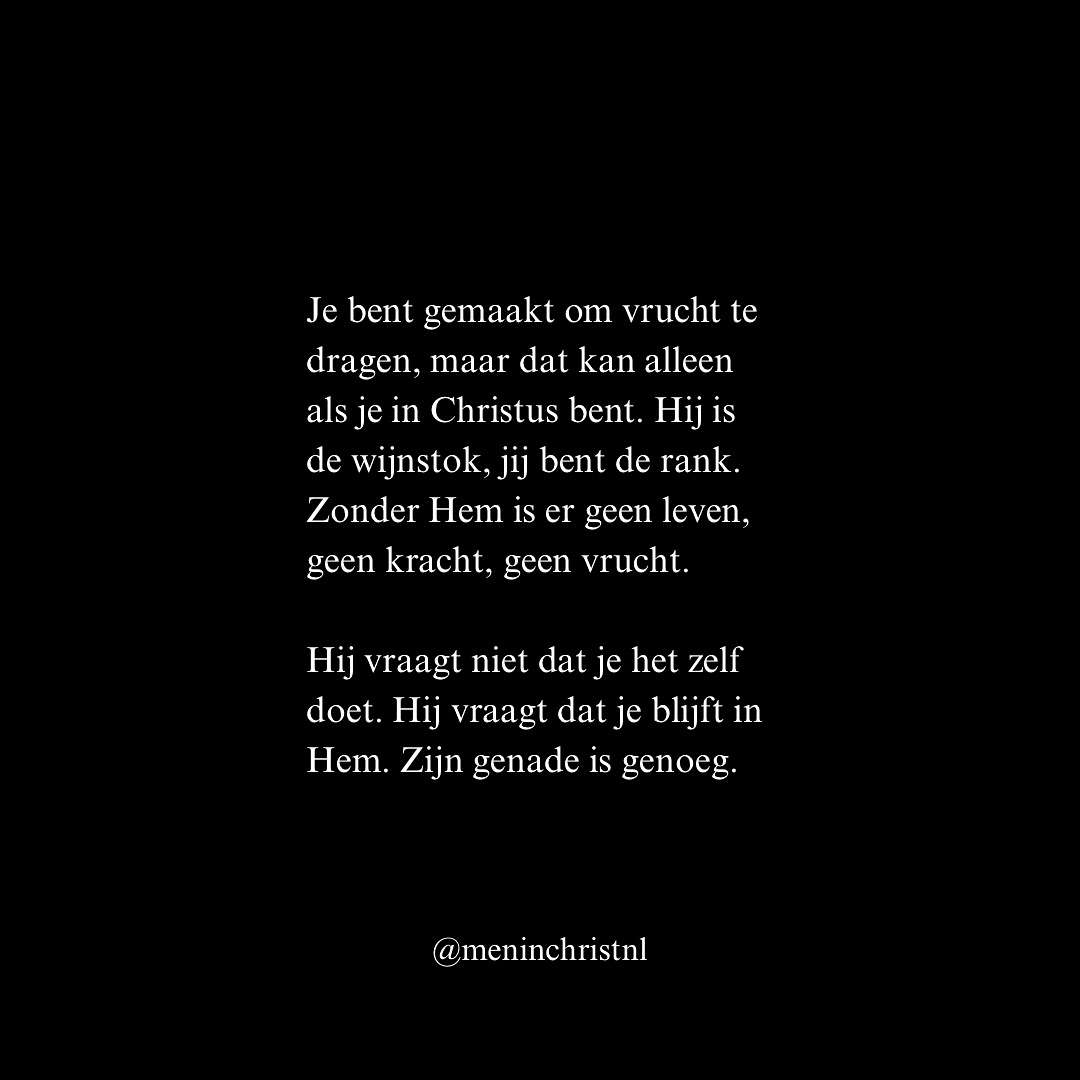 “Ik ben de wijnstok, u bent de ranken; wie in Mij blijft, en Ik in hem, die draagt veel vrucht; want zonder Mij kunt u niets doen” (Johannes 15:5).
Je bent gemaakt om vrucht te dragen, maar dat kan alleen als je in Christus bent. Hij is de wijnstok, jij bent de rank. Zonder Hem is er geen leven, geen kracht, geen vrucht.
Hij vraagt niet dat je het zelf doet. Hij vraagt dat je blijft in Hem. Zijn genade is genoeg.
“Mijn genade is u genoeg, want Mijn kracht wordt in zwakheid volbracht” (2 Korinthe 12:9).
Patrick
Men in Christ
#christus #jezus #bijbel