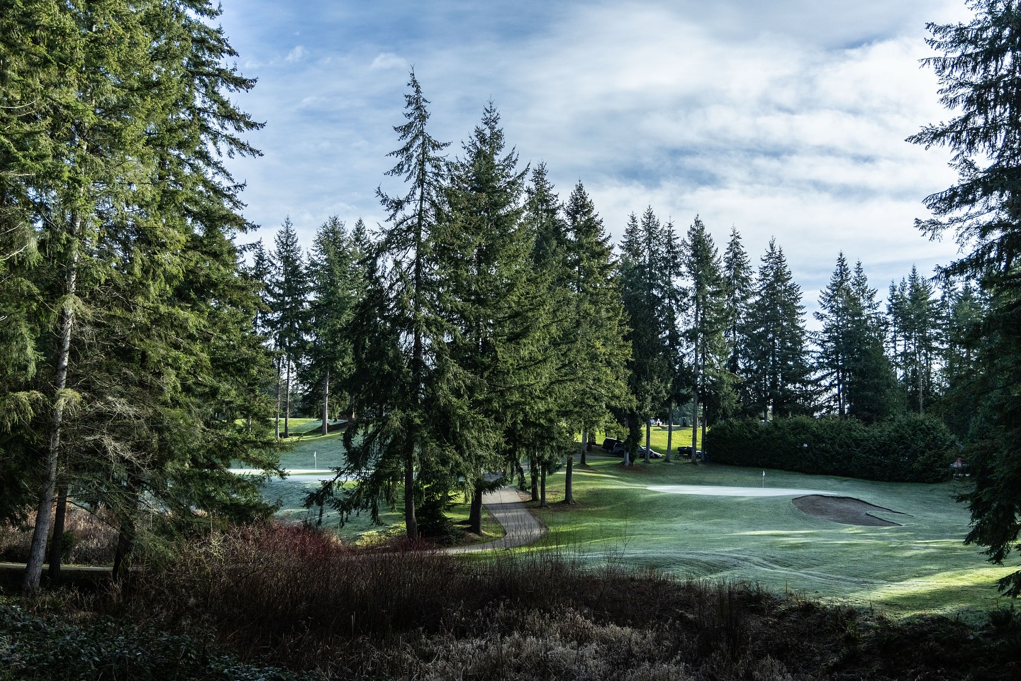 Conditions update 1-23-25: Cold and frozen with slight thawing mid-day. NO FROST DELAYS*. One temporary green on 8th hole.
*except under rare conditions ie. an abnormally warm thaw after a deep freeze, warm rain on frozen conditions, overnight snap freeze in warm conditions.