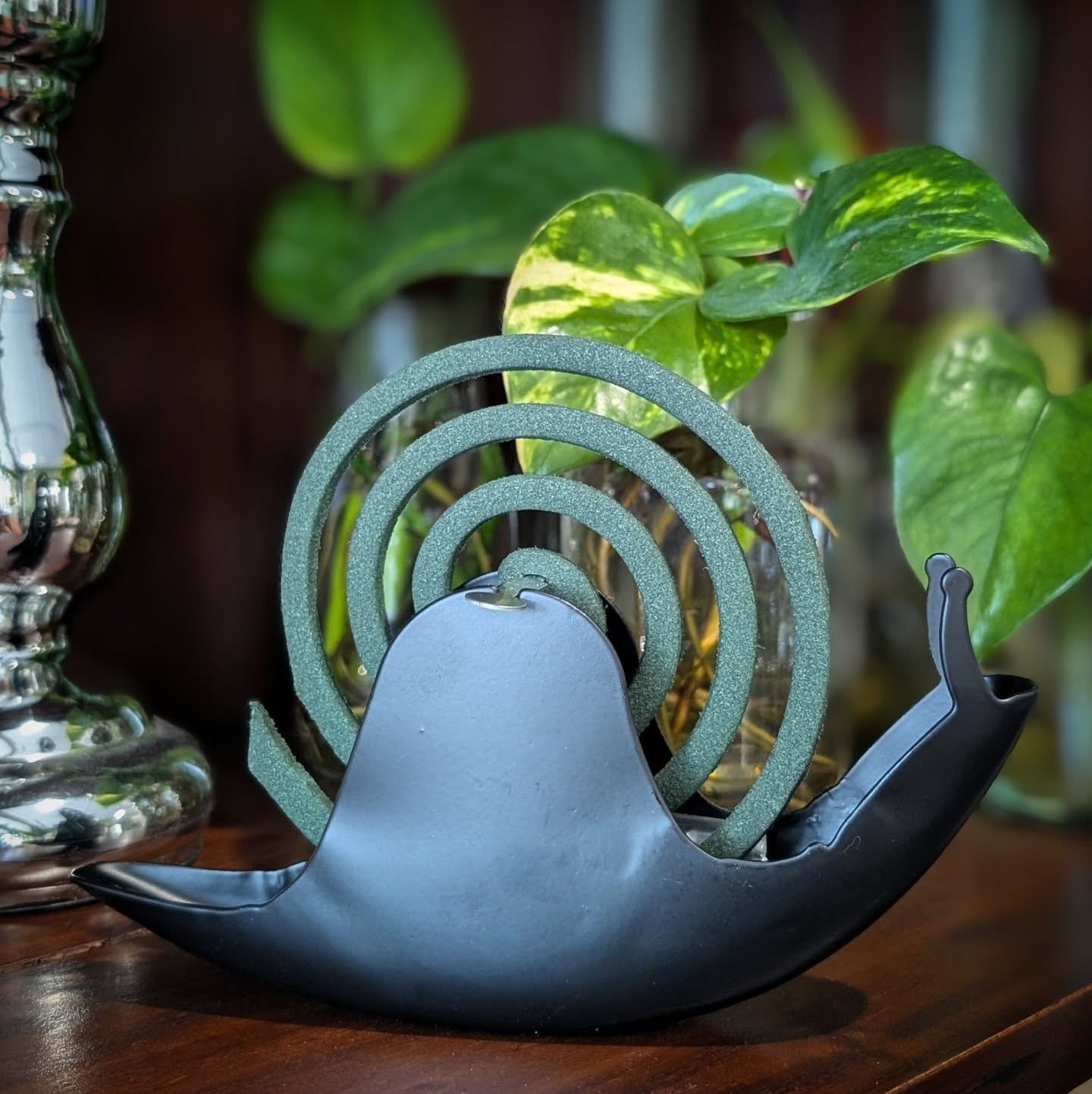 The cutest mozzie coil holder you've ever seen?? I think so!! 🐌
•
•
•
#blackbirdavenue #damnskeeters #mozziecoilholder #mosquitocoilholder #curios #australianwitches #yarravalley #yarraranges #visityarravalley #upperyarravalley #shoptheyarravalley #yarrajunction #warburton
