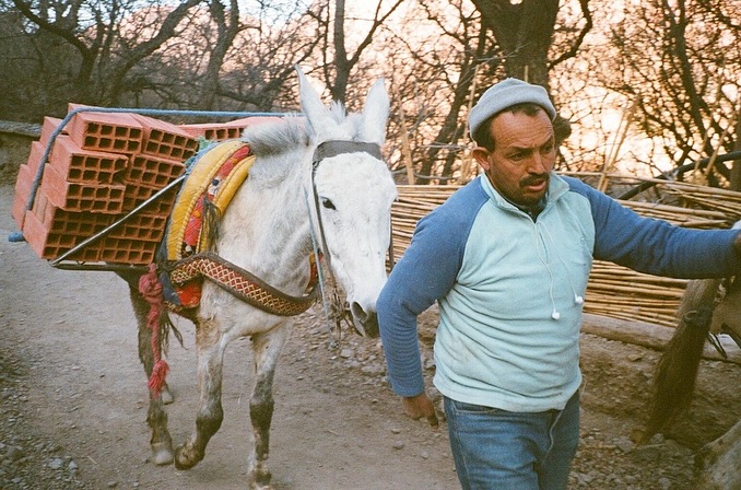 The Colours of Marrakech 🫏🐄
-
-
-
#part2
#35mmfilm
#35mmphotography