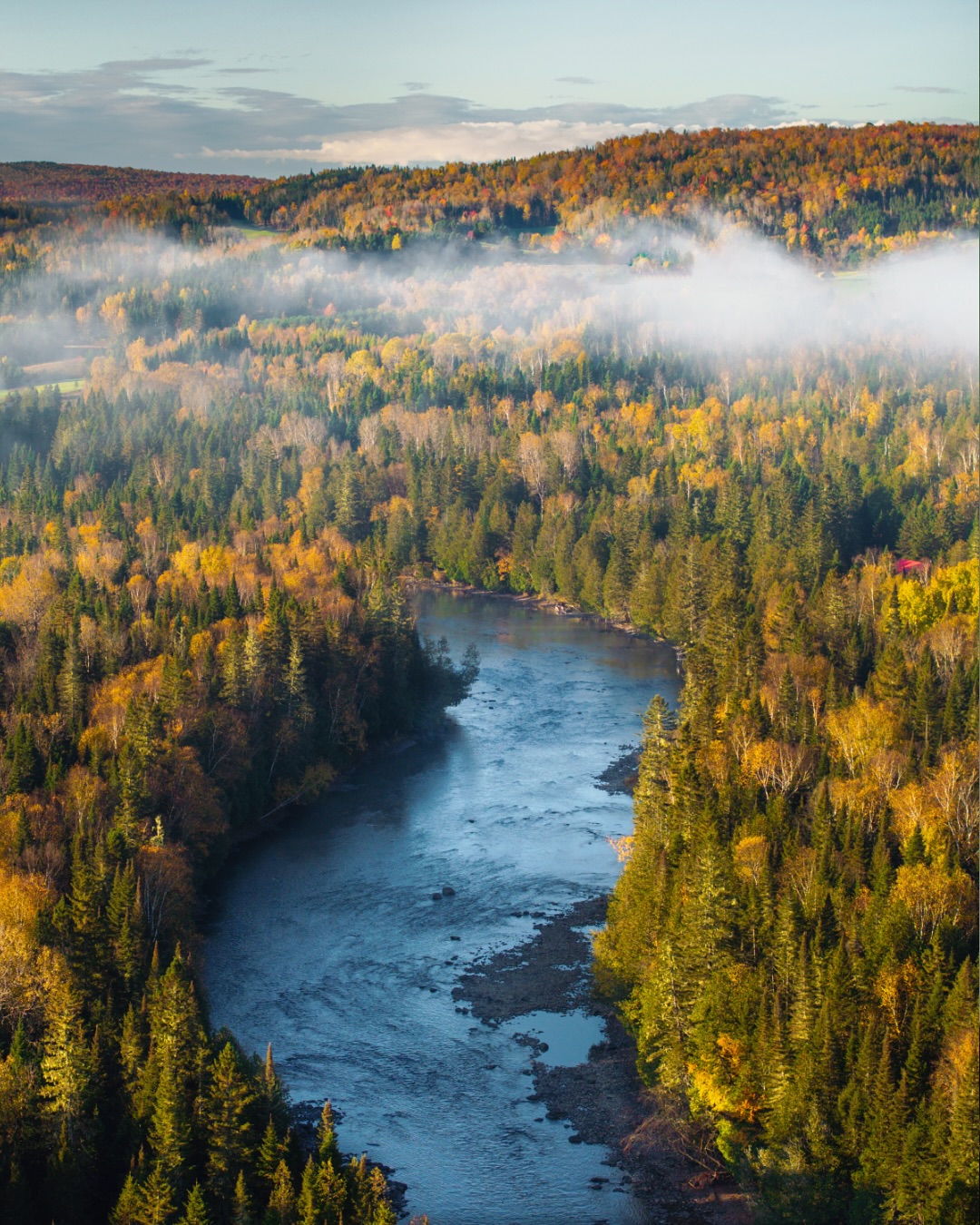 Sometimes the pup winds up being the center of attention.
Is he in the first shot? Maybe, maybe not…