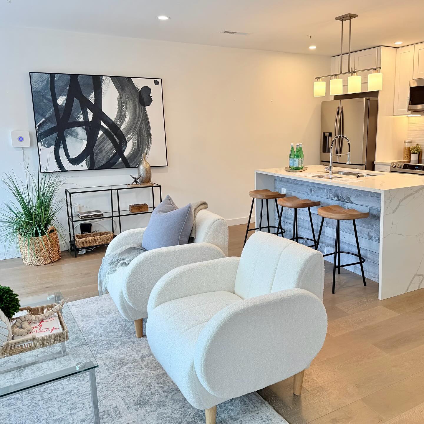 So far, we’ve covered a lot of ground this year staging properties in Clarksburg MD all the way down to this cute condo in Capitol Hill. We are ready for you 2025!