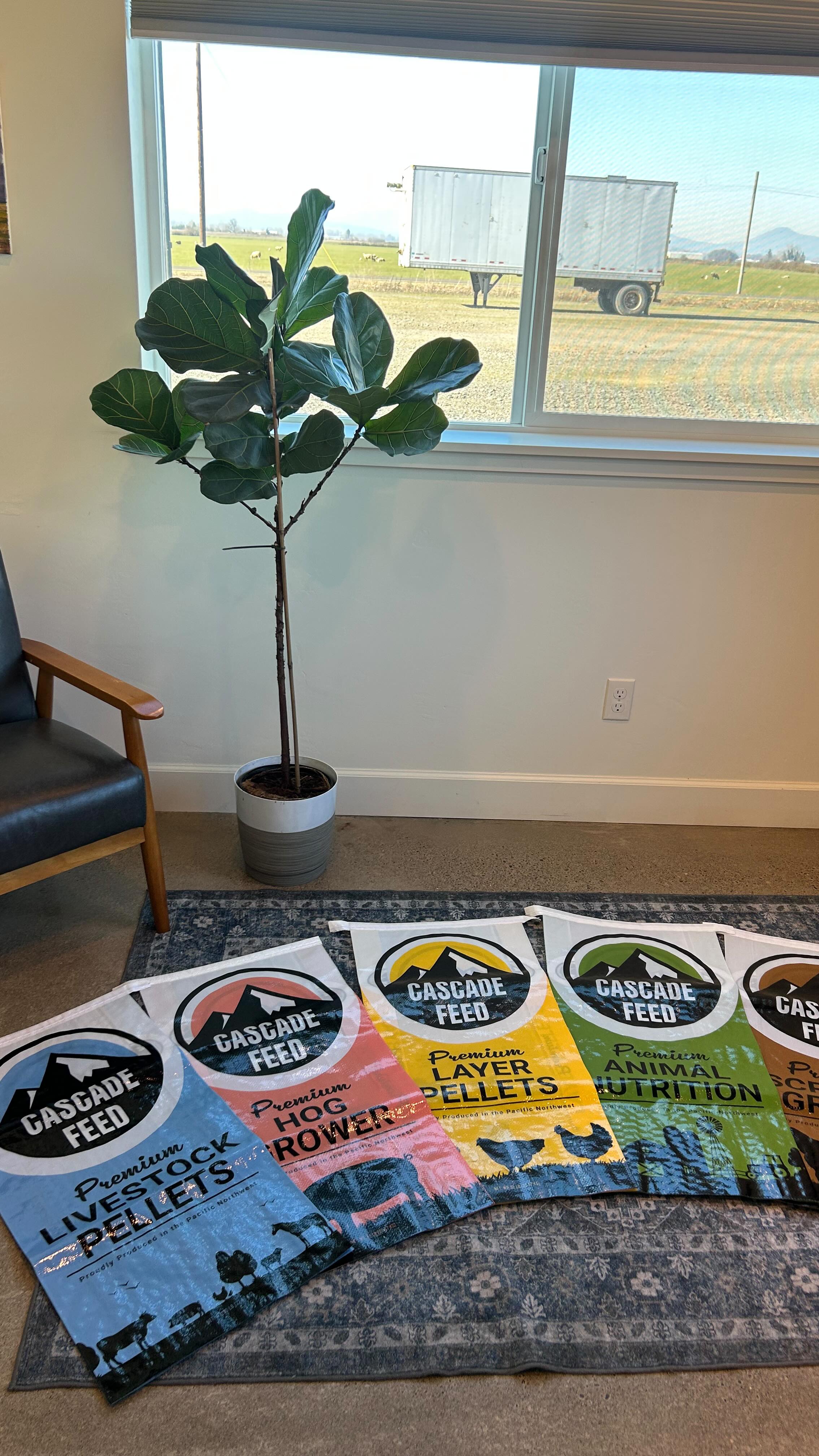 Cascade feed bags just got a fresh new look! 👀
The new color palette makes it easier to differentiate our products and make your selection at a glance while in store for the intended consumer. Not to mention they’re pretty to look at. 😎
Find us at @coastalfarm, @wilcostores, and @cascade_farm_outdoor 🛍️
#localbusiness #farmandranch #oregonag #smallbusiness #pnwlife #pnwcattle #familybusiness #cattlefeed #pnwchickens #animalfeed #livestockfeed #pnwfarm #willamettevalleyfarming #oregonfarm