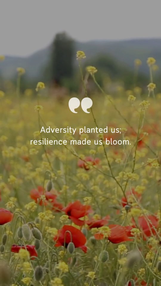 From struggle to strength—we rise. 🌺 #BlackResilience