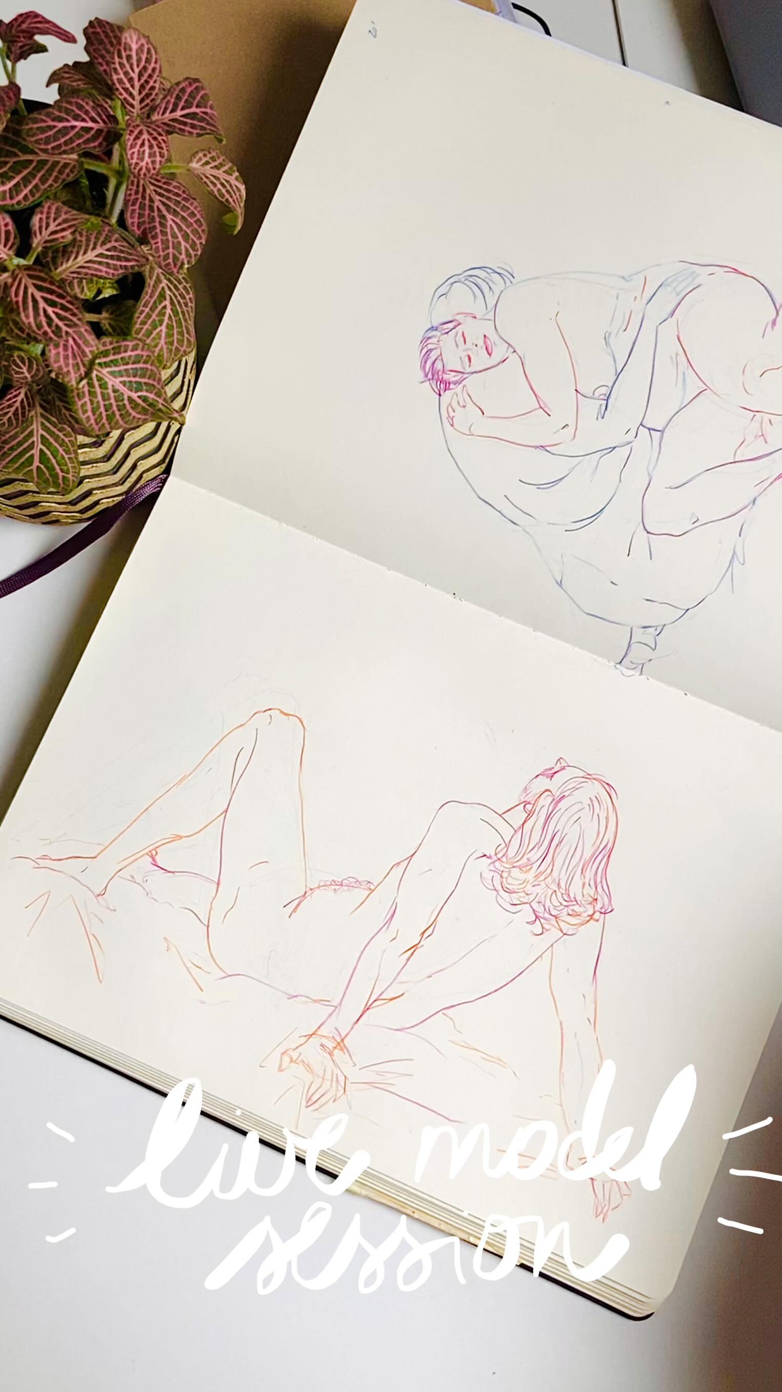 This week the Caen Fine Arts museum organised a live model drawing session by night, it was reallyyyy nice, I loved it ! Thanks to the Museum, the staff and of course, thank you so much to the models 💙
Here are the drawings made that night, hope you’ll like them 🎨😊
______________________________
Made on a A4 @moleskine sketchbook
______________________________
#figurestudy #livemodel #thewomenwhodraw #illustrationartist #illustratrice #illustratricefrancaise #moleskine #moreillustrations #visualdevelopment #characterartist #charadesign #caen #modelevivant