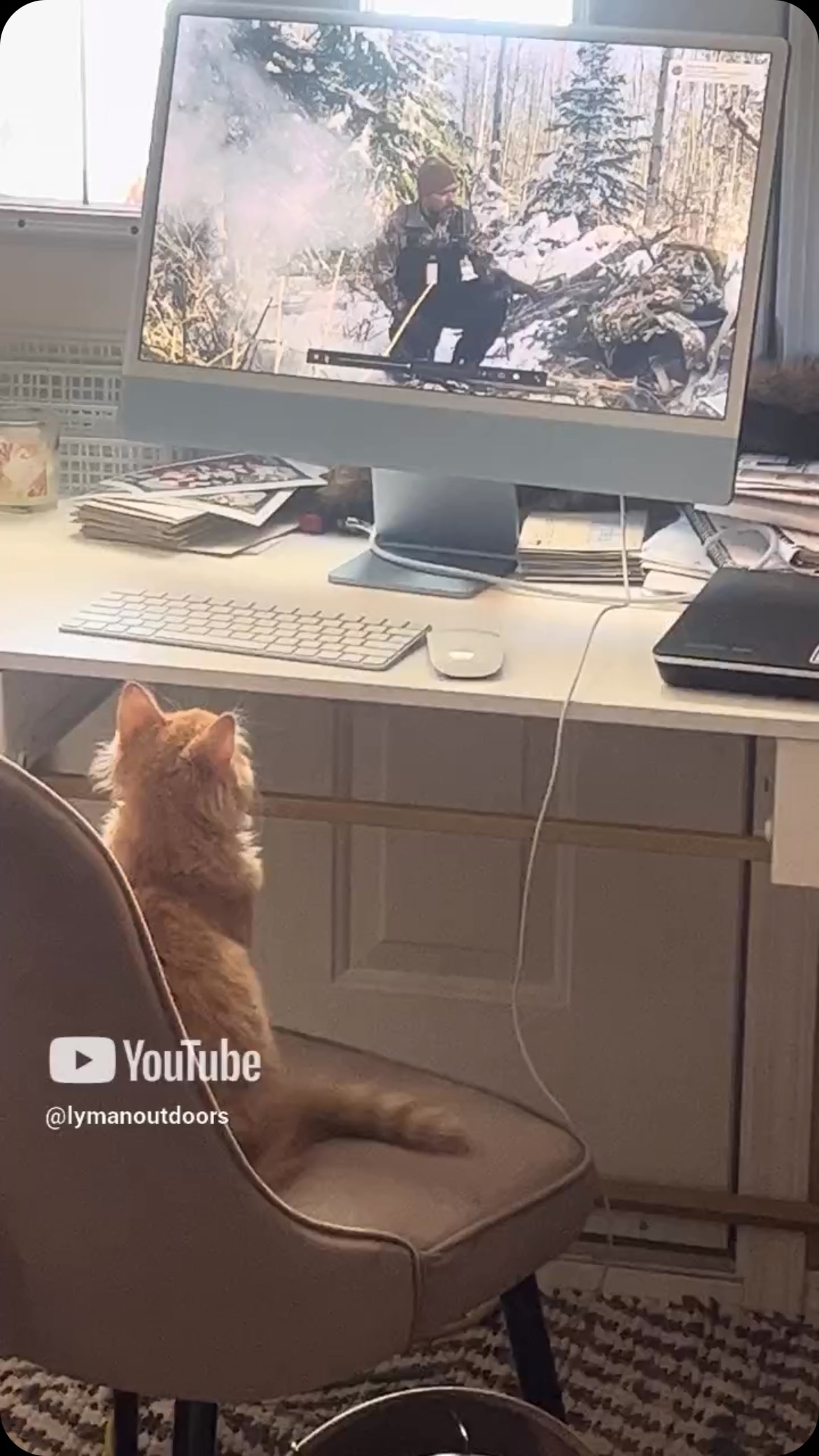 When your cat is the first view on your first video. Out Now on YouTube, link in bio! #cat #pet #firstoutdoorvideo