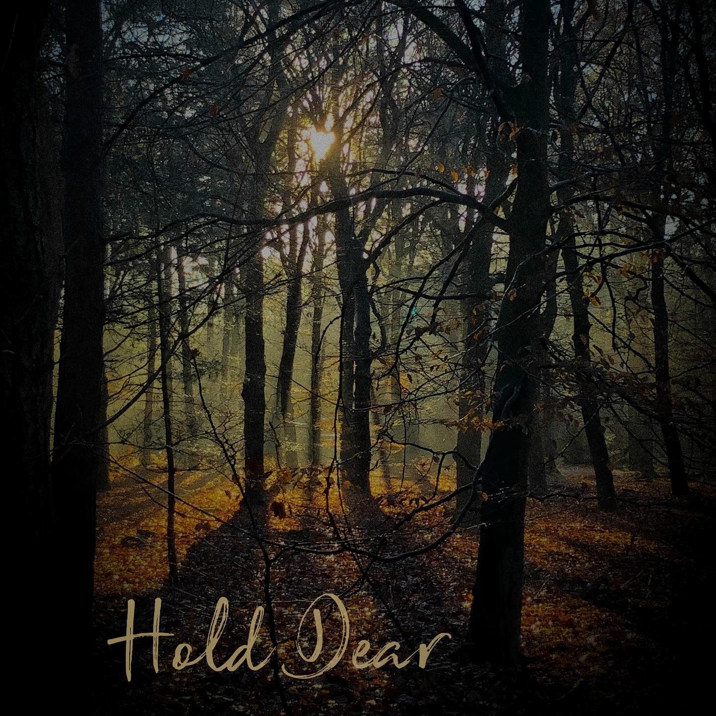 NEW RELEASE!
Vandaag verschijnt ‘Hold Dear’ op Spotify. De muziek is gespeeld door 18 geweldiger strijkers van het @dutchstringcollective. Het is een stuk over vasthouden aan mooie dingen in het leven, ook als het even niet lukt die te zien.
Twee jaar geleden schreef ik dit stuk en het lag dus al even op de plank. Maar elke keer als ik het iemand liet horen waren de reacties zo hartverwarmend mooi, dat ik nu niet anders kan dan ‘Hold Dear’ met de wereld te delen.
Ik hoop dat het jou als luisteraar ook mag raken en dat je het deelt als je het mooi vindt.
Te beluisteren op Spotify en alle andere streamers. https://open.spotify.com/album/4YPnzxlGX9kSTlZlwIMQxW?si=rxKcTPtRRba6BkRNWa5ISQ
Mijn Grote dank gaat uit naar:
🎻 Het @dutchstringcollective voor hun prachtige spel
🎼 @federicosolazzomusic voor de mooie orkestratie en fijne samenwerking
🎙️ Hans Ravestein van de @groenlandstudios voor de kraakheldere opname
📖 en @laurensgoedhart voor de productie. Het liep zo soepel dankzij jullie!
En tot slot @bcmm.nl en het investeringsfonds van @bumastemra voor het mogelijk maken van deze opnames.
#stringorchestra #neoclassicalmusic #modernclassical #musicandhealing #composerlife #newmusic #heartmusic #gevangeniswolvenplein #npoklassiek #npoklassiektipt